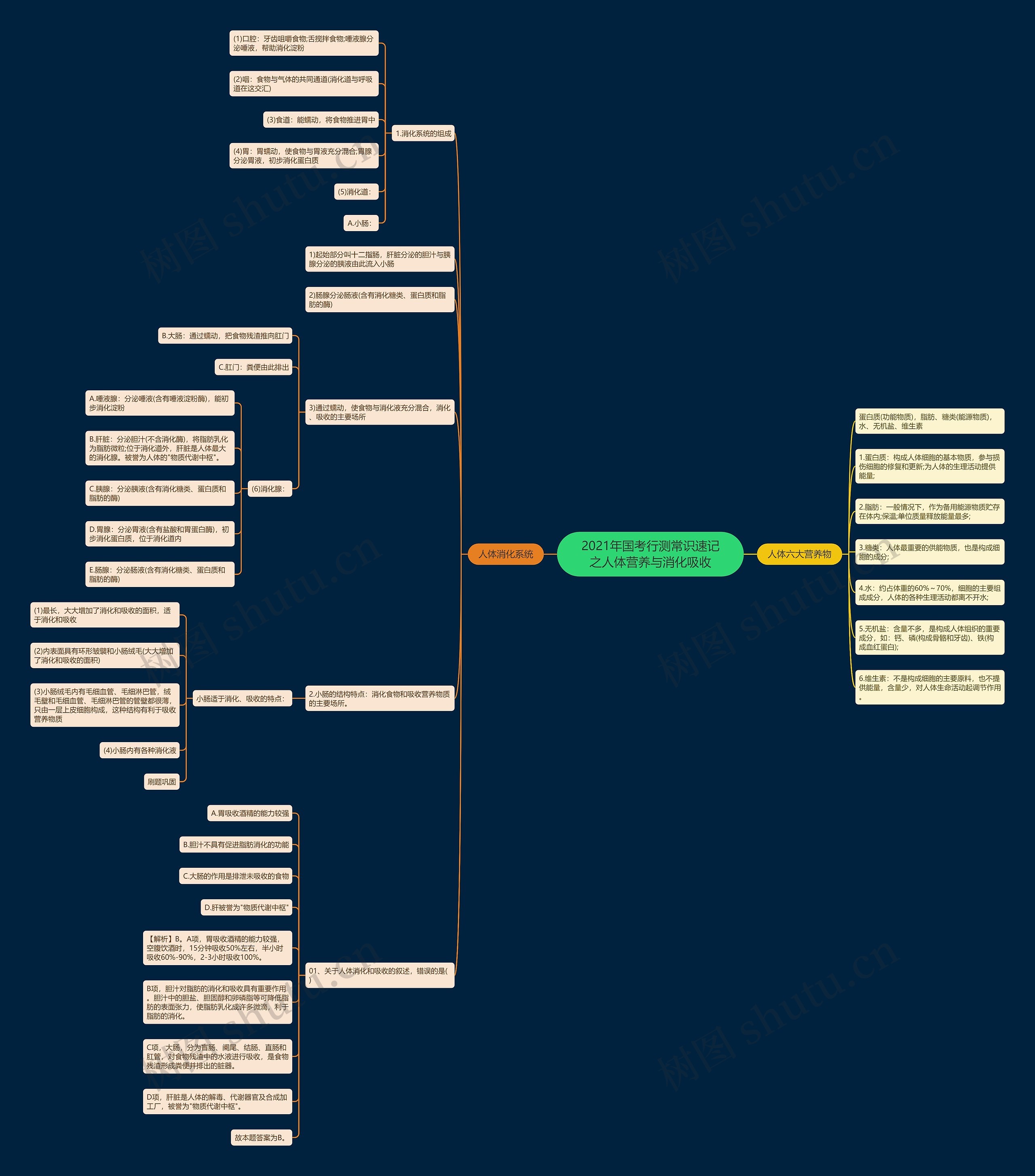 2021年国考行测常识速记之人体营养与消化吸收思维导图