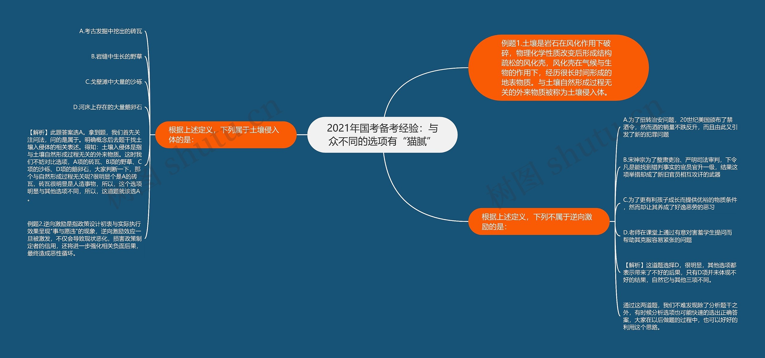 2021年国考备考经验：与众不同的选项有“猫腻”思维导图