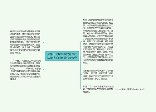 孙华山出席中英安全生产法律法规对比研究座谈会