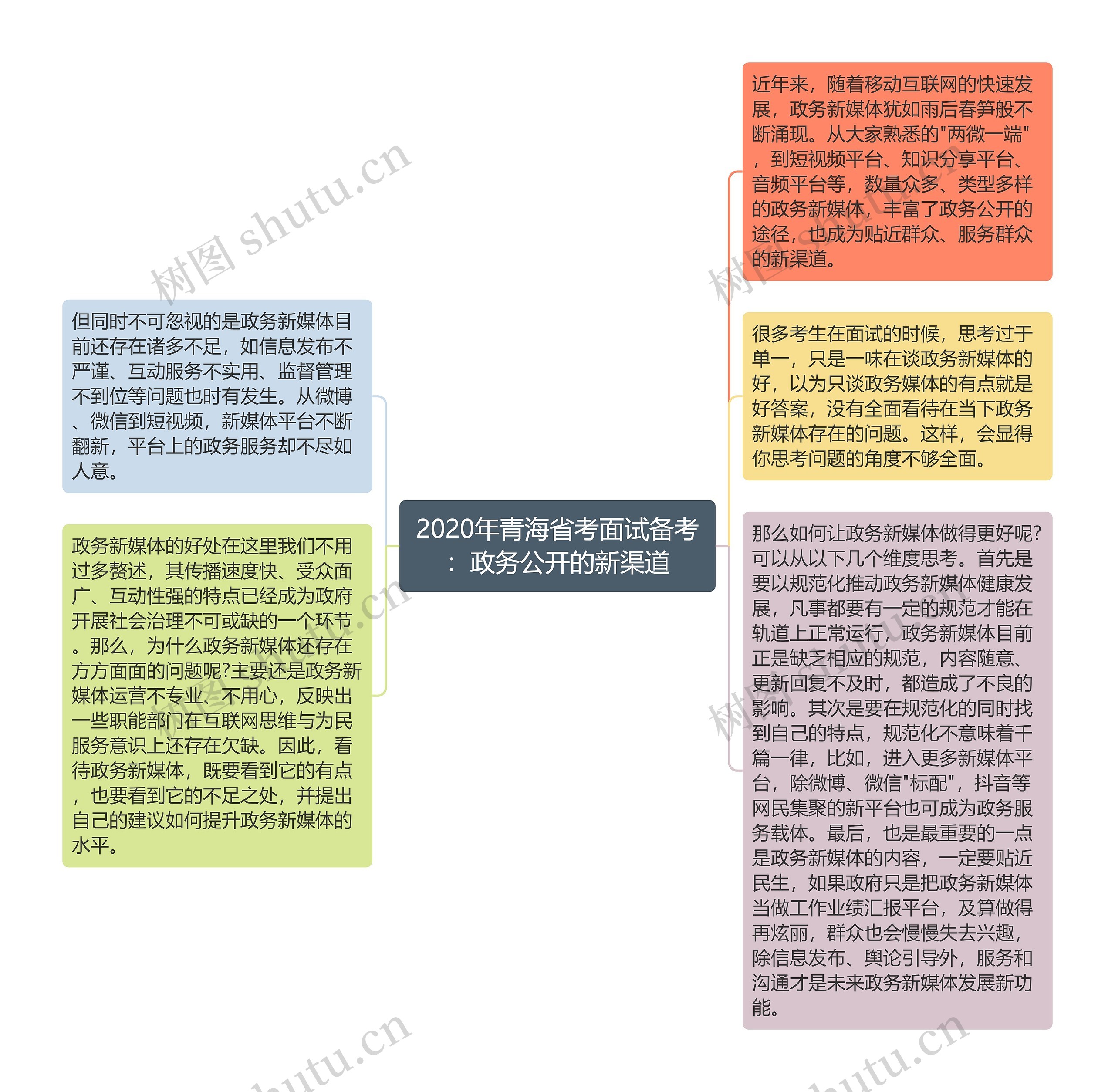 2020年青海省考面试备考：政务公开的新渠道思维导图