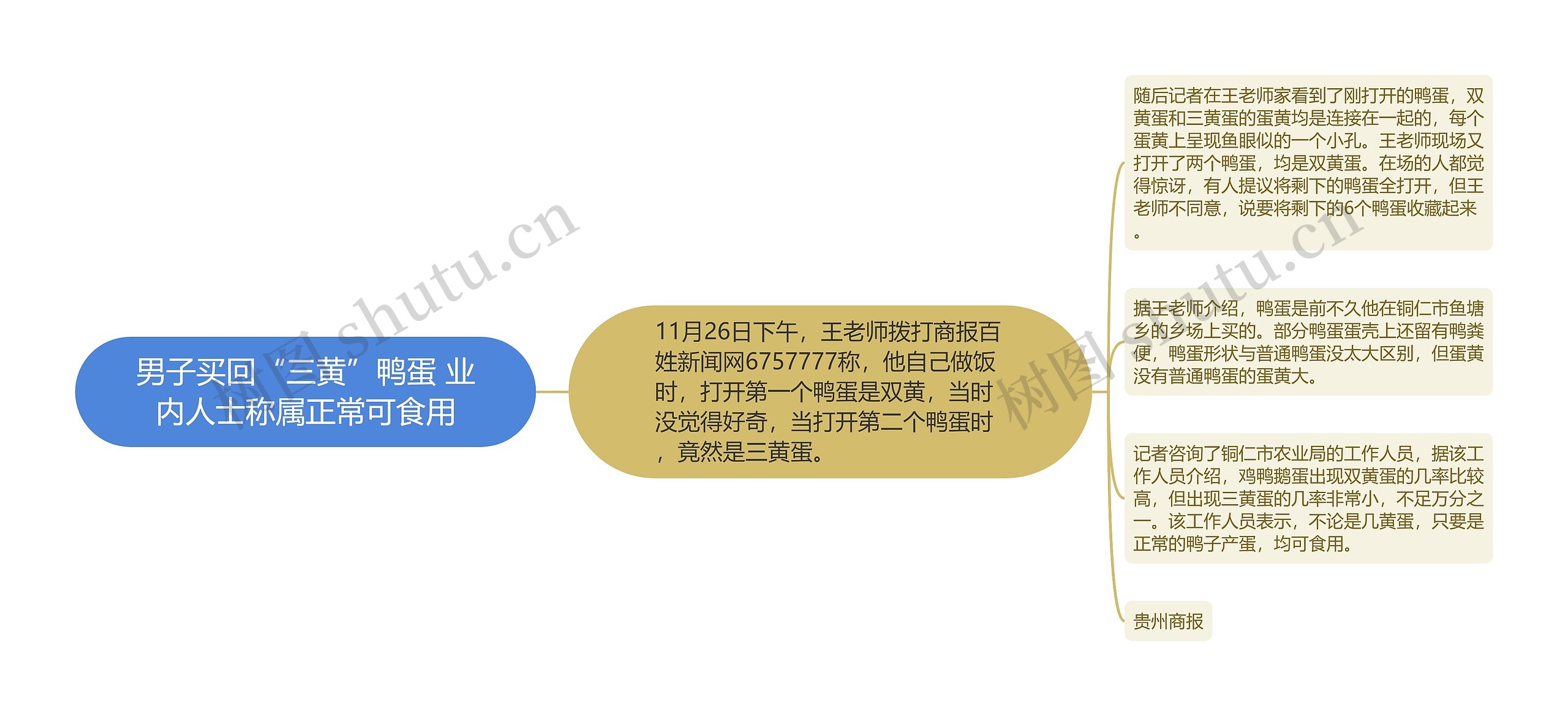 男子买回“三黄”鸭蛋 业内人士称属正常可食用 男子买回“三黄”鸭蛋 业内人士称属正常可食用