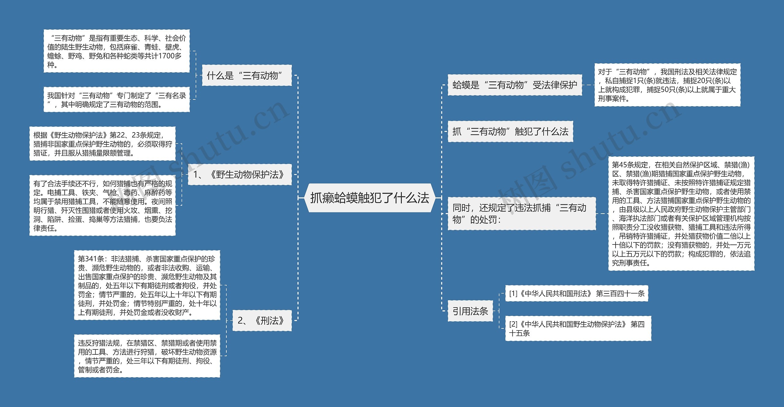 抓癞蛤蟆触犯了什么法思维导图