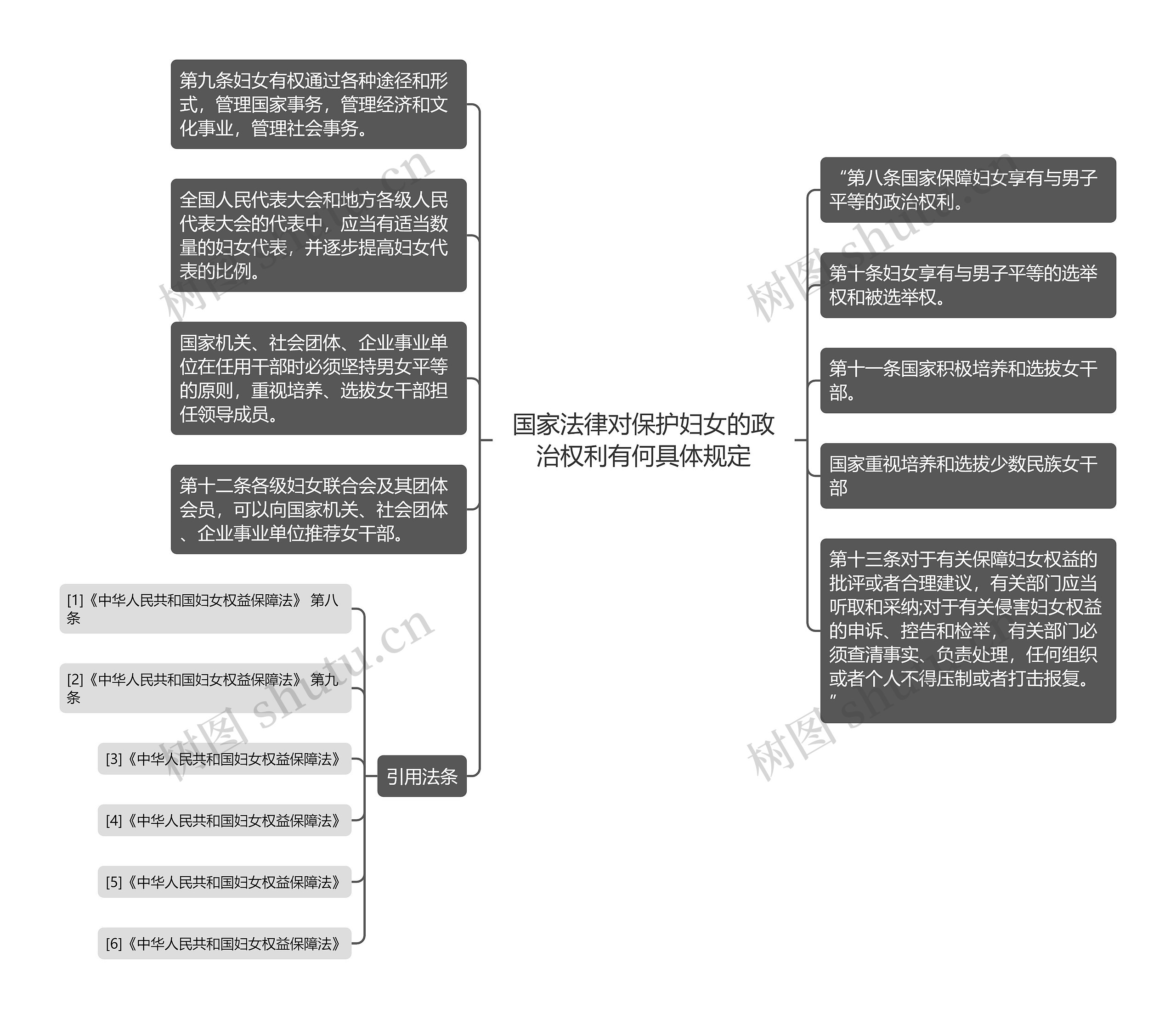 国家法律对保护妇女的政治权利有何具体规定思维导图