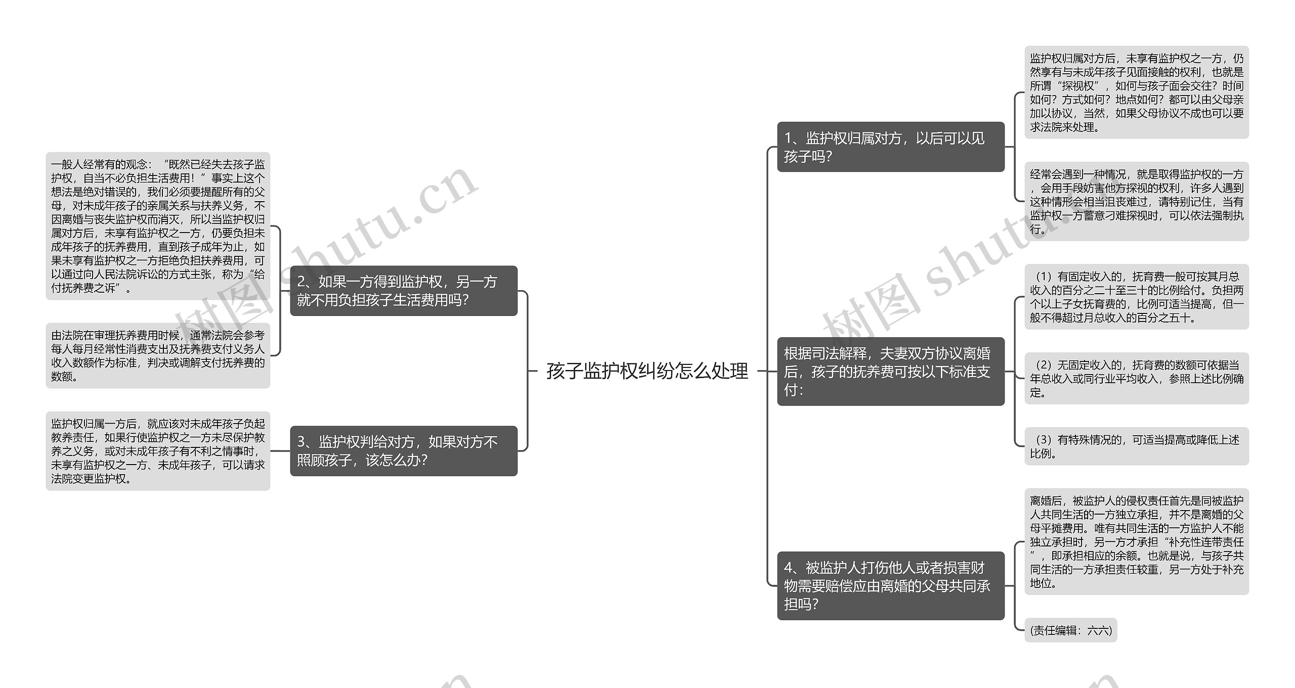 孩子监护权纠纷怎么处理思维导图