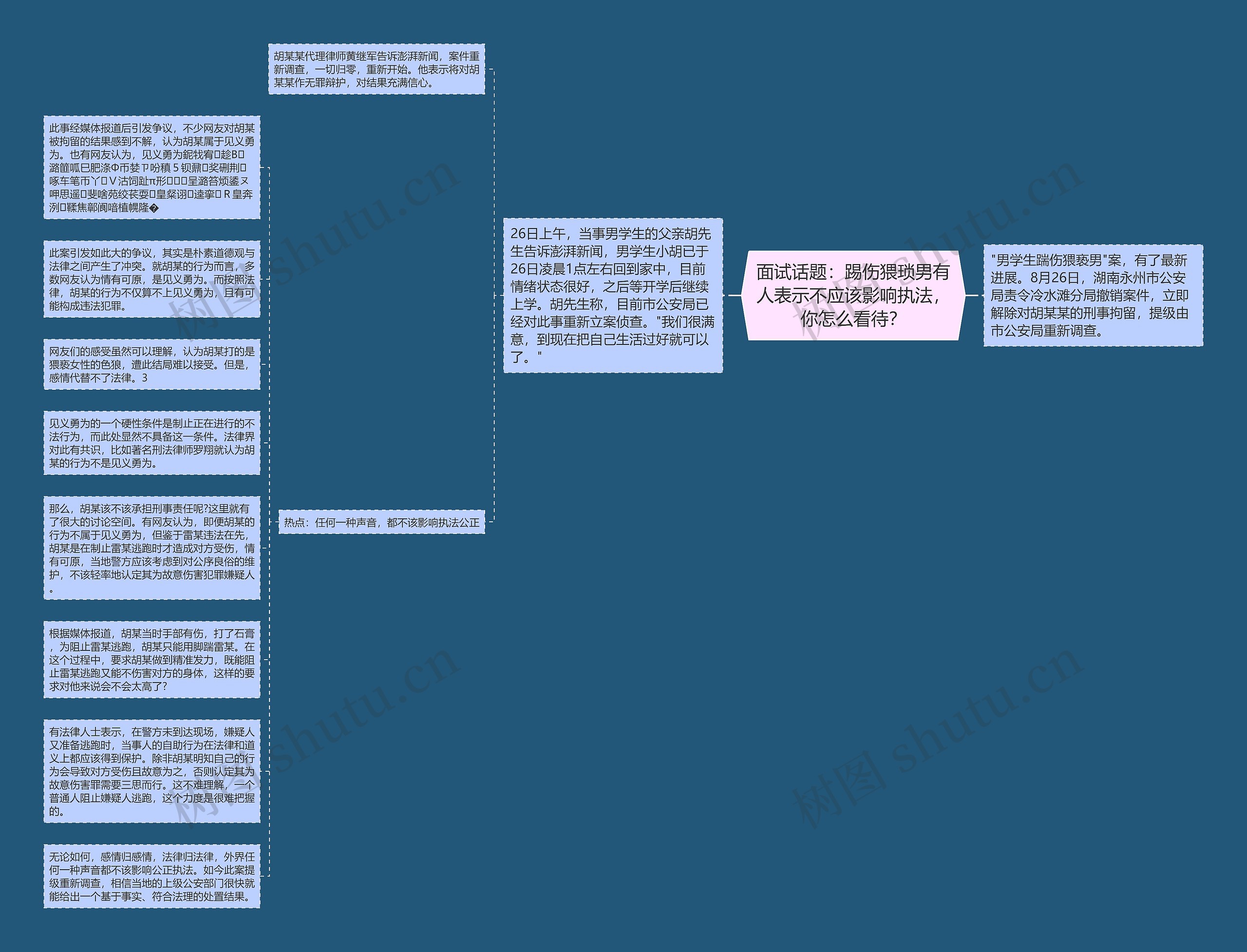 面试话题：踢伤猥琐男有人表示不应该影响执法，你怎么看待？思维导图