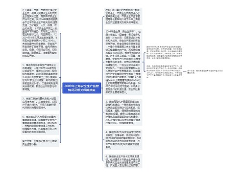 2009年上海安全生产监管情况及相关保障措施