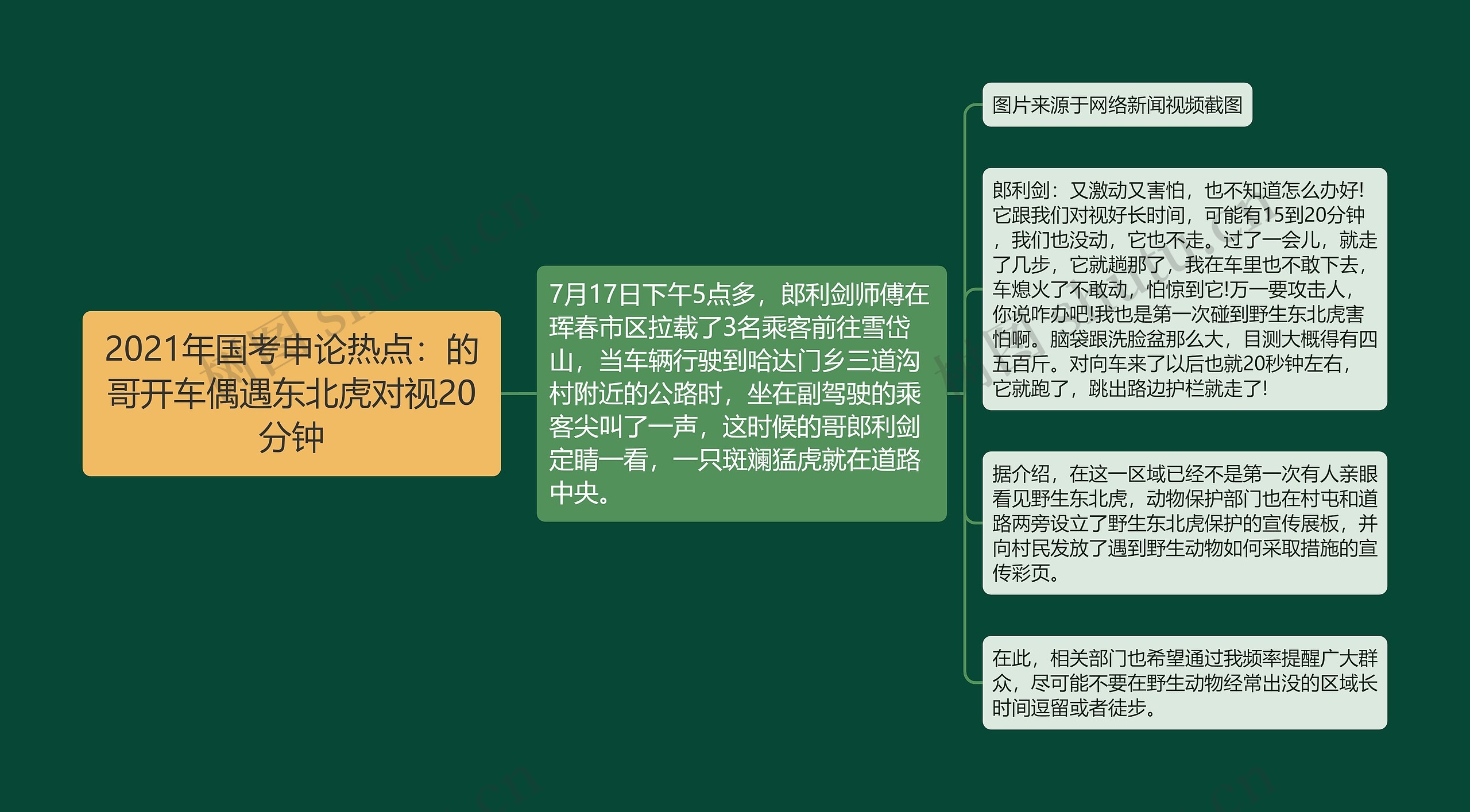 2021年国考申论热点：的哥开车偶遇东北虎对视20分钟