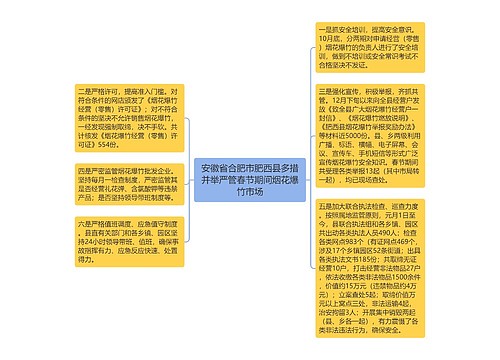 安徽省合肥市肥西县多措并举严管春节期间烟花爆竹市场