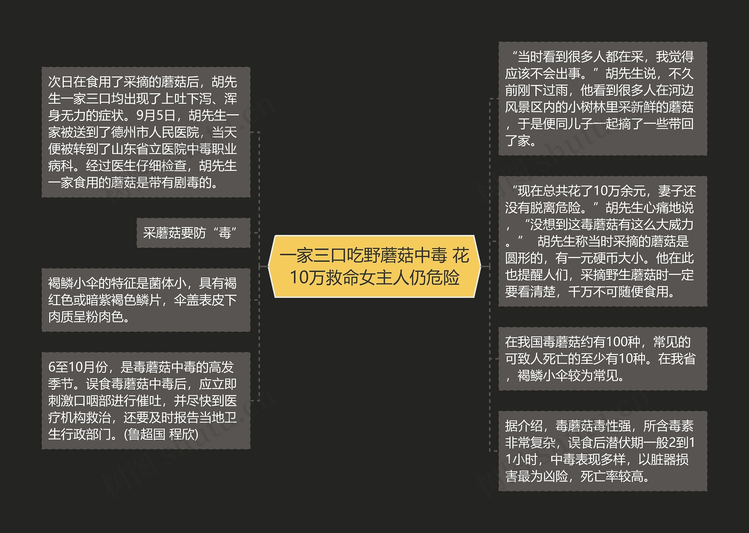 一家三口吃野蘑菇中毒 花10万救命女主人仍危险思维导图