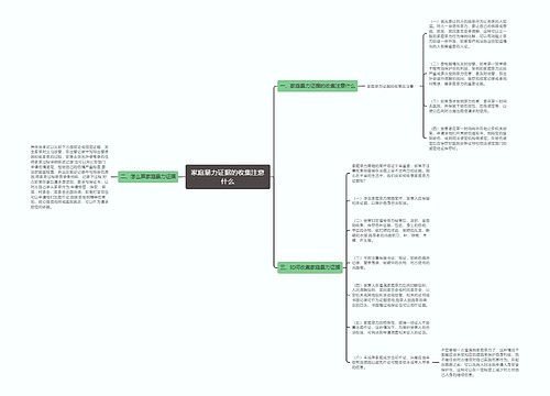 家庭暴力证据的收集注意什么思维导图