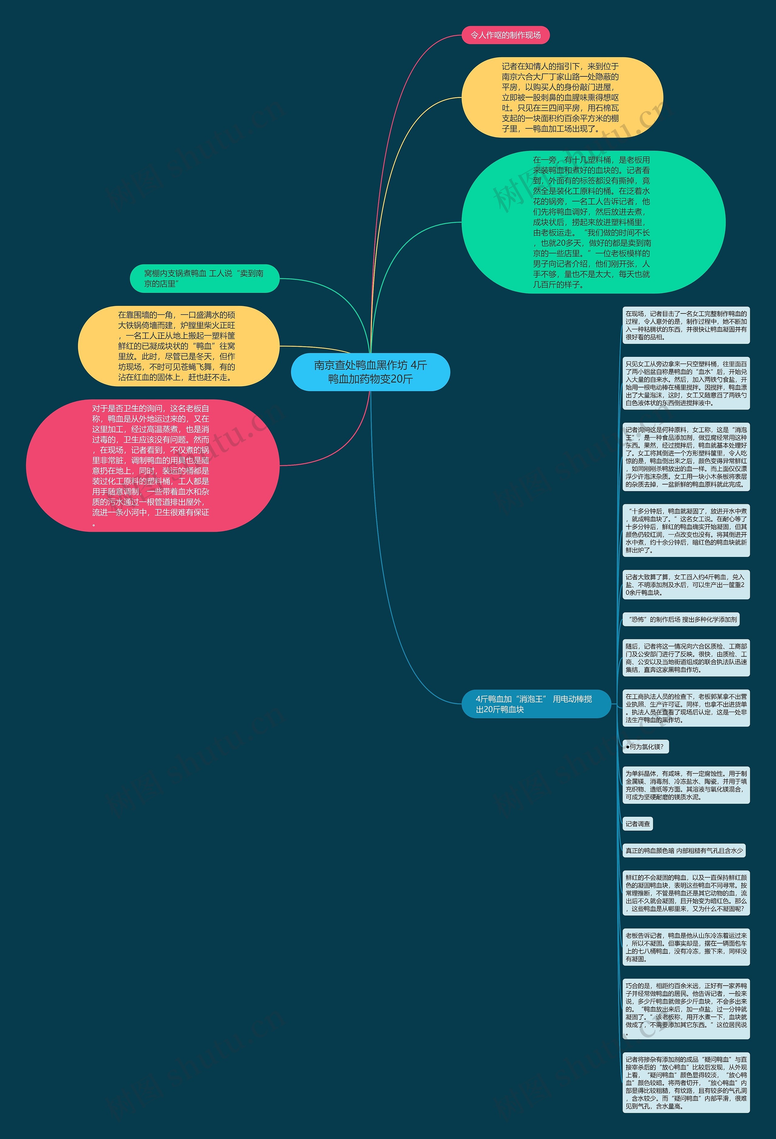 南京查处鸭血黑作坊 4斤鸭血加药物变20斤思维导图