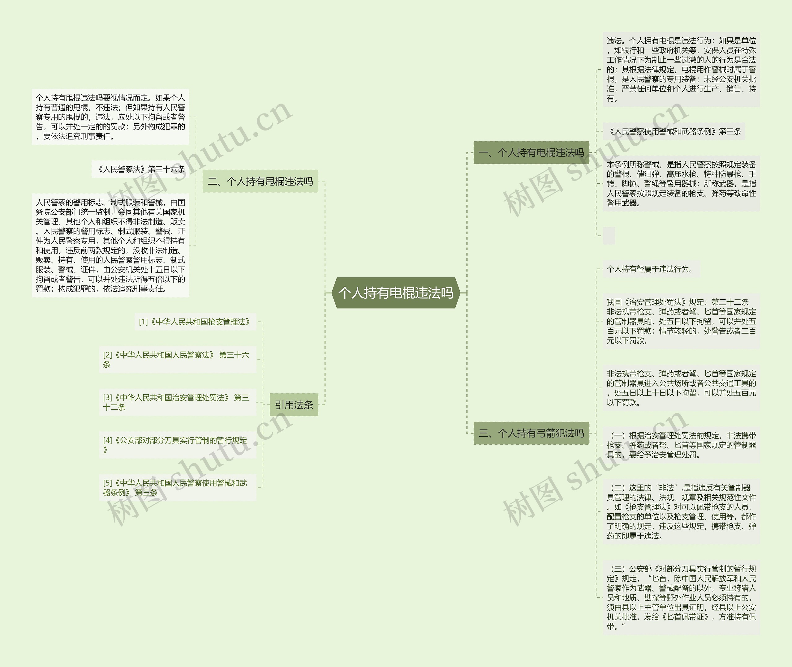 个人持有电棍违法吗思维导图
