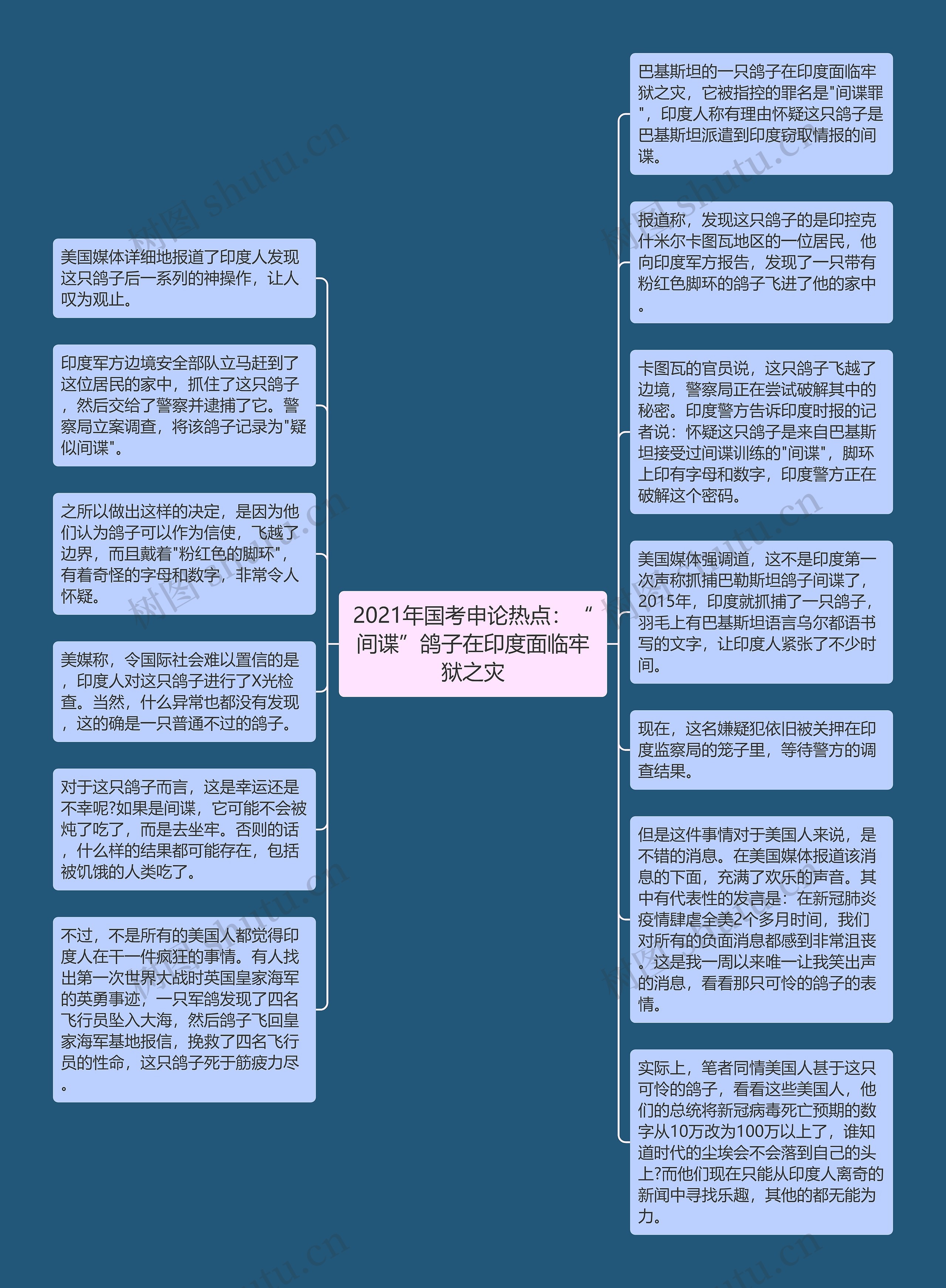 2021年国考申论热点：“间谍”鸽子在印度面临牢狱之灾思维导图