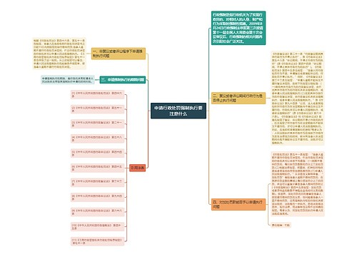 申请行政处罚强制执行要注意什么