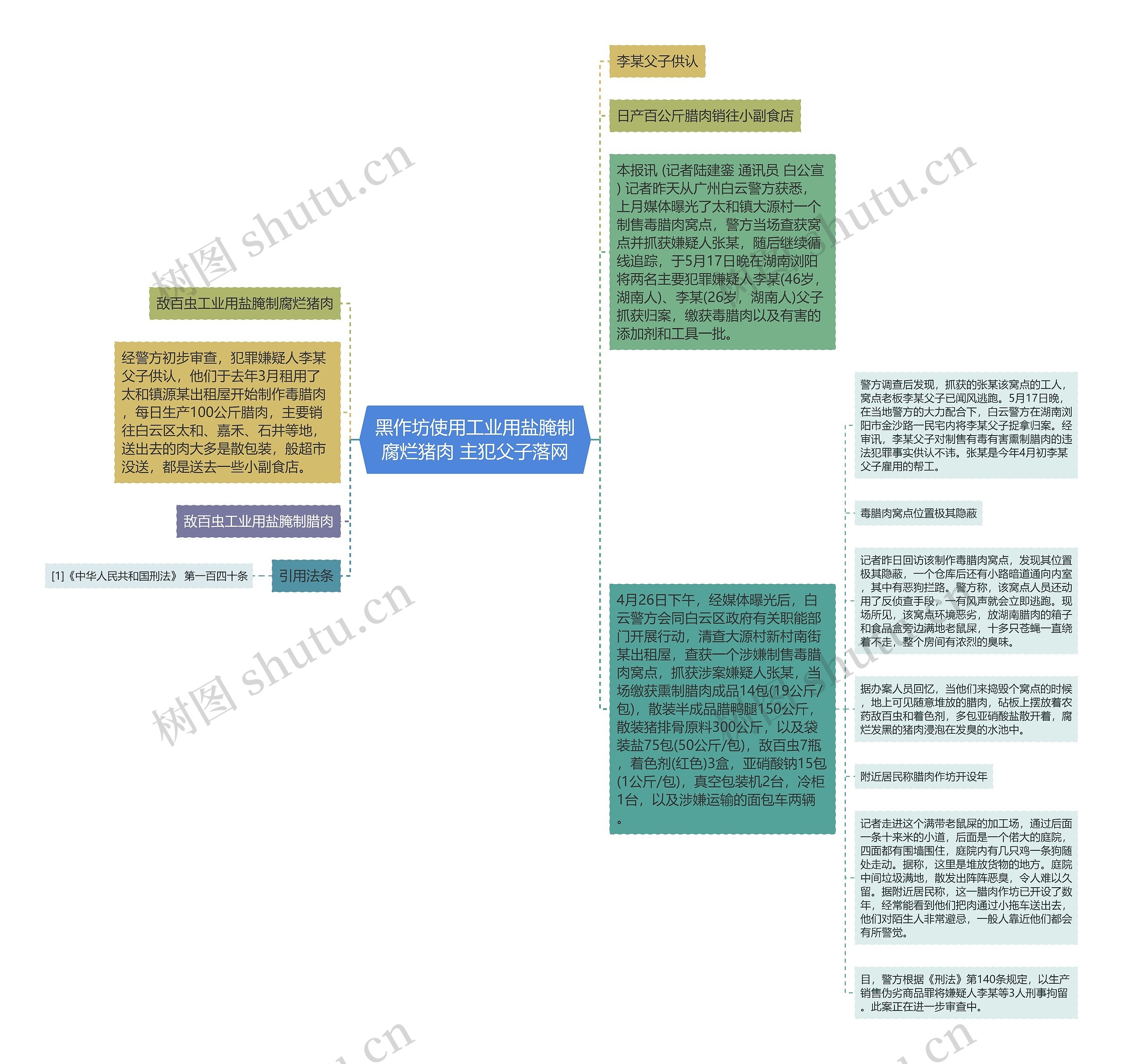 黑作坊使用工业用盐腌制腐烂猪肉 主犯父子落网思维导图