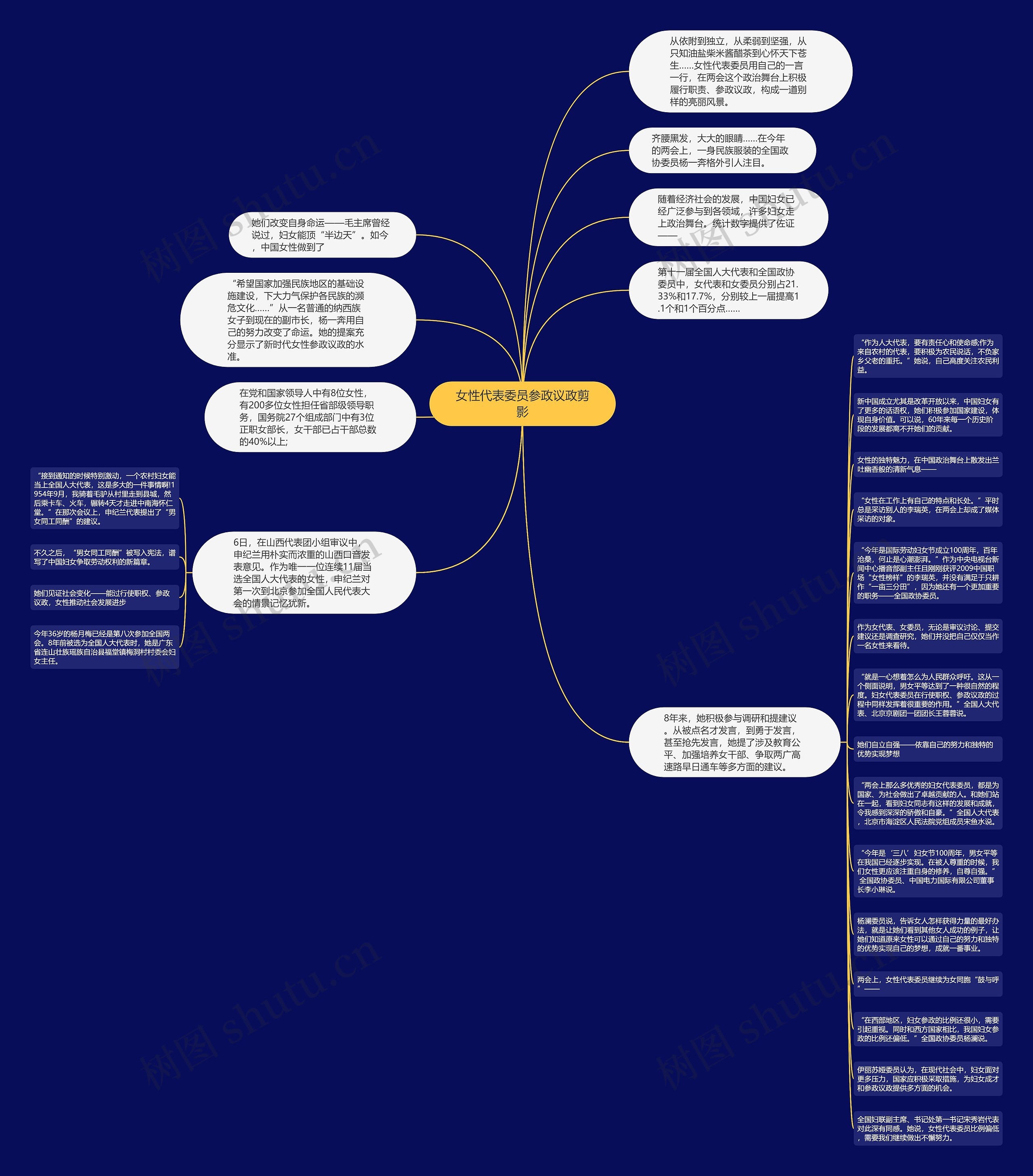 女性代表委员参政议政剪影思维导图