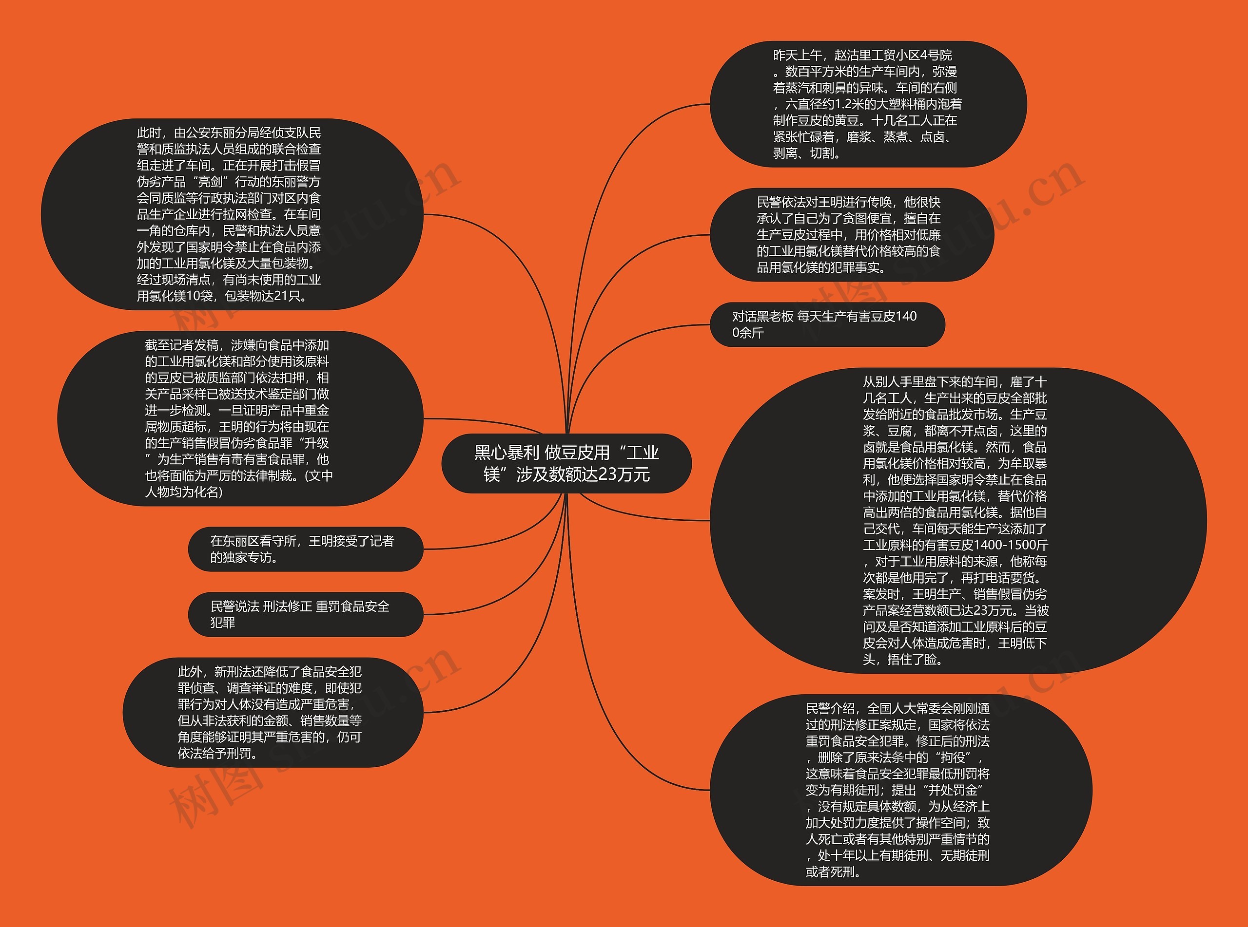 黑心暴利 做豆皮用“工业镁”涉及数额达23万元思维导图