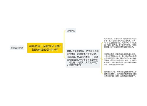 凌晨木条厂突发大火 邢台消防奋战90分钟扑灭