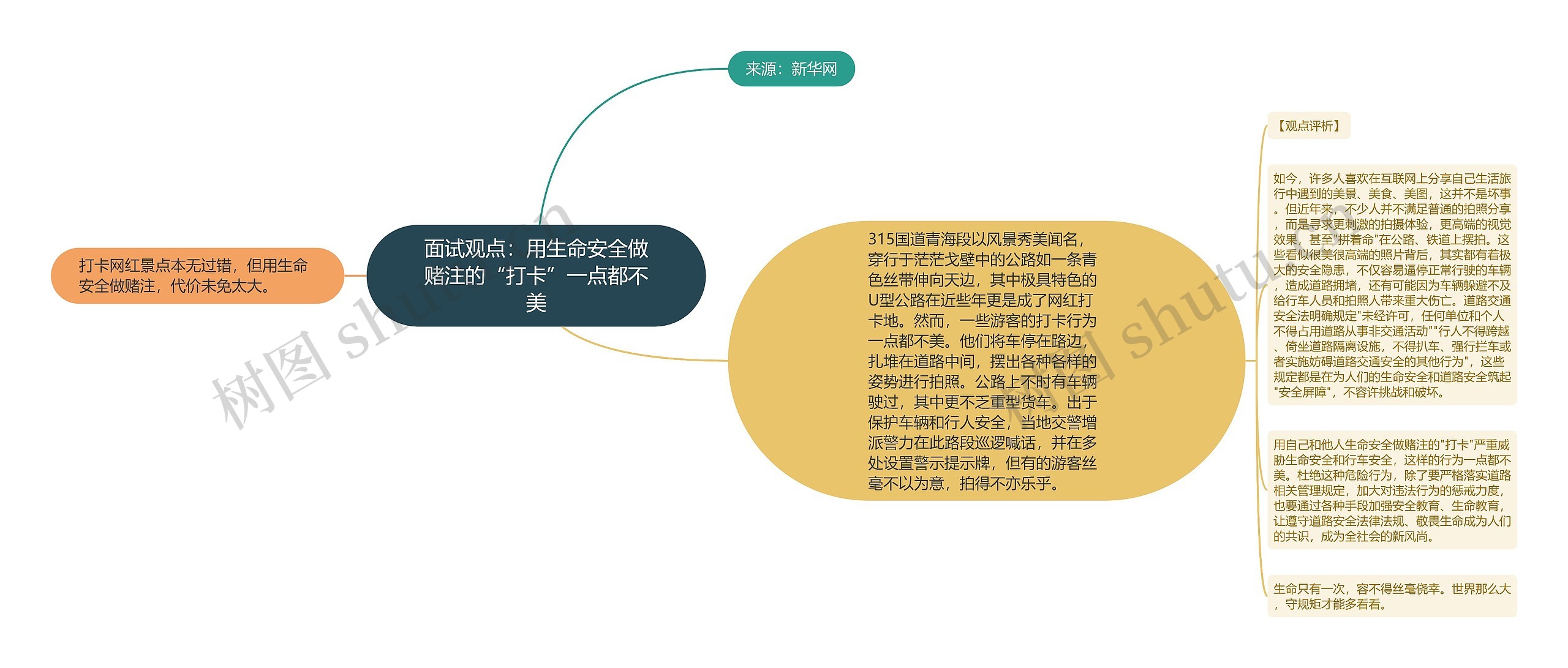 面试观点：用生命安全做赌注的“打卡”一点都不美思维导图