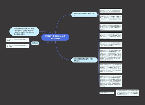 刑事案件移交治安大队遵循什么原则