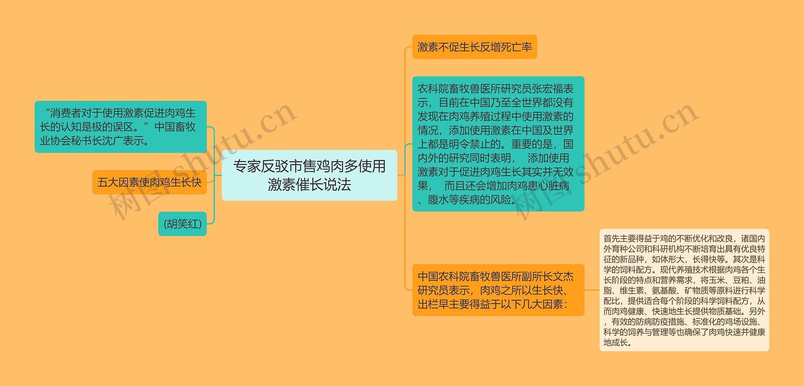 专家反驳市售鸡肉多使用激素催长说法思维导图