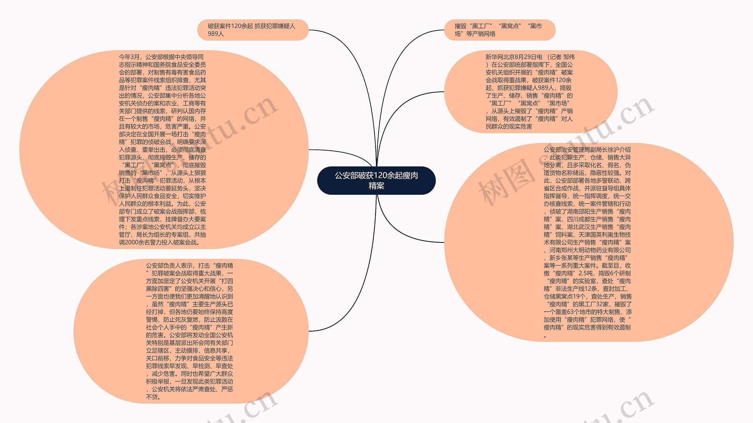 公安部破获120余起瘦肉精案思维导图