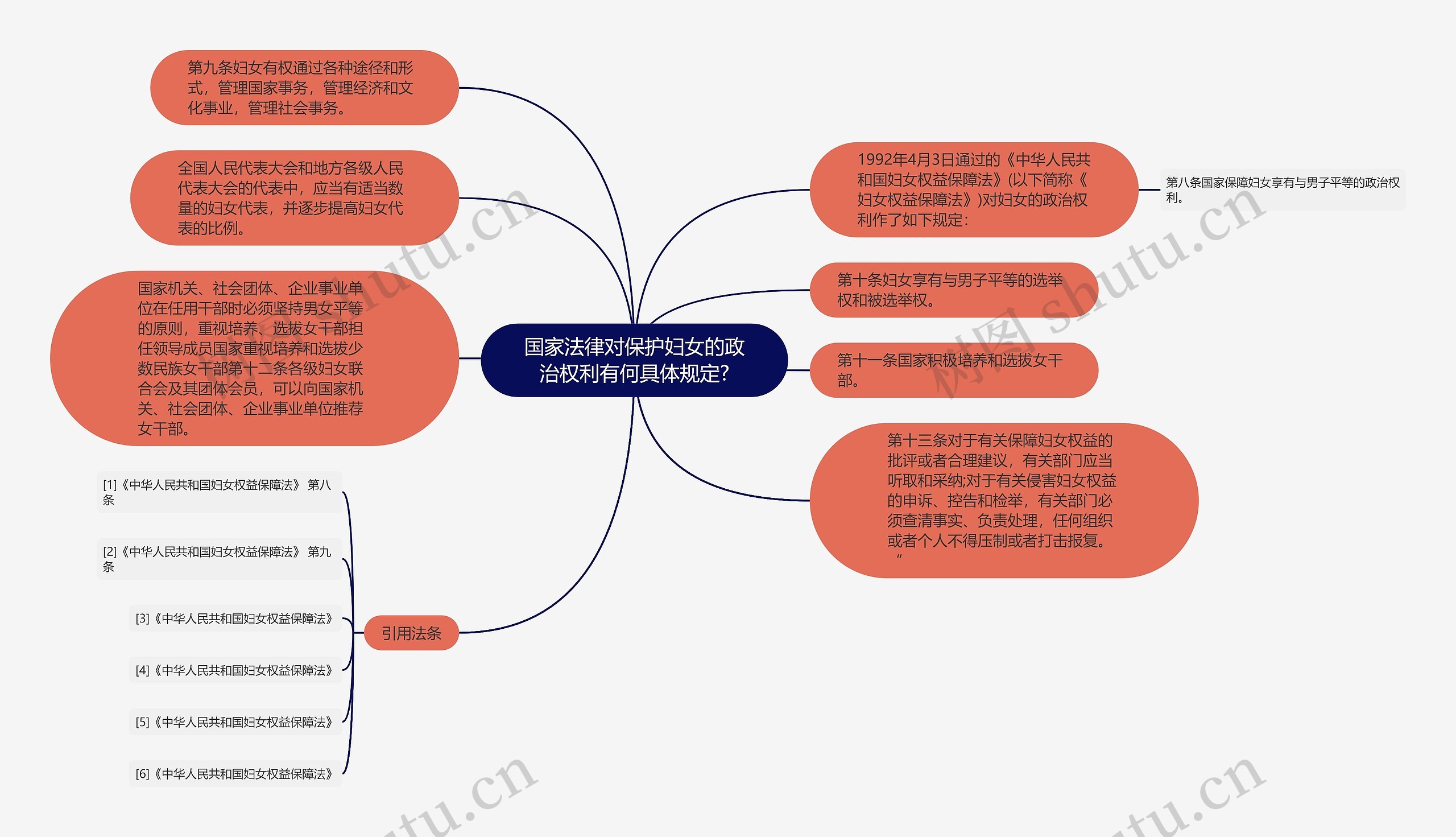 国家法律对保护妇女的政治权利有何具体规定?思维导图