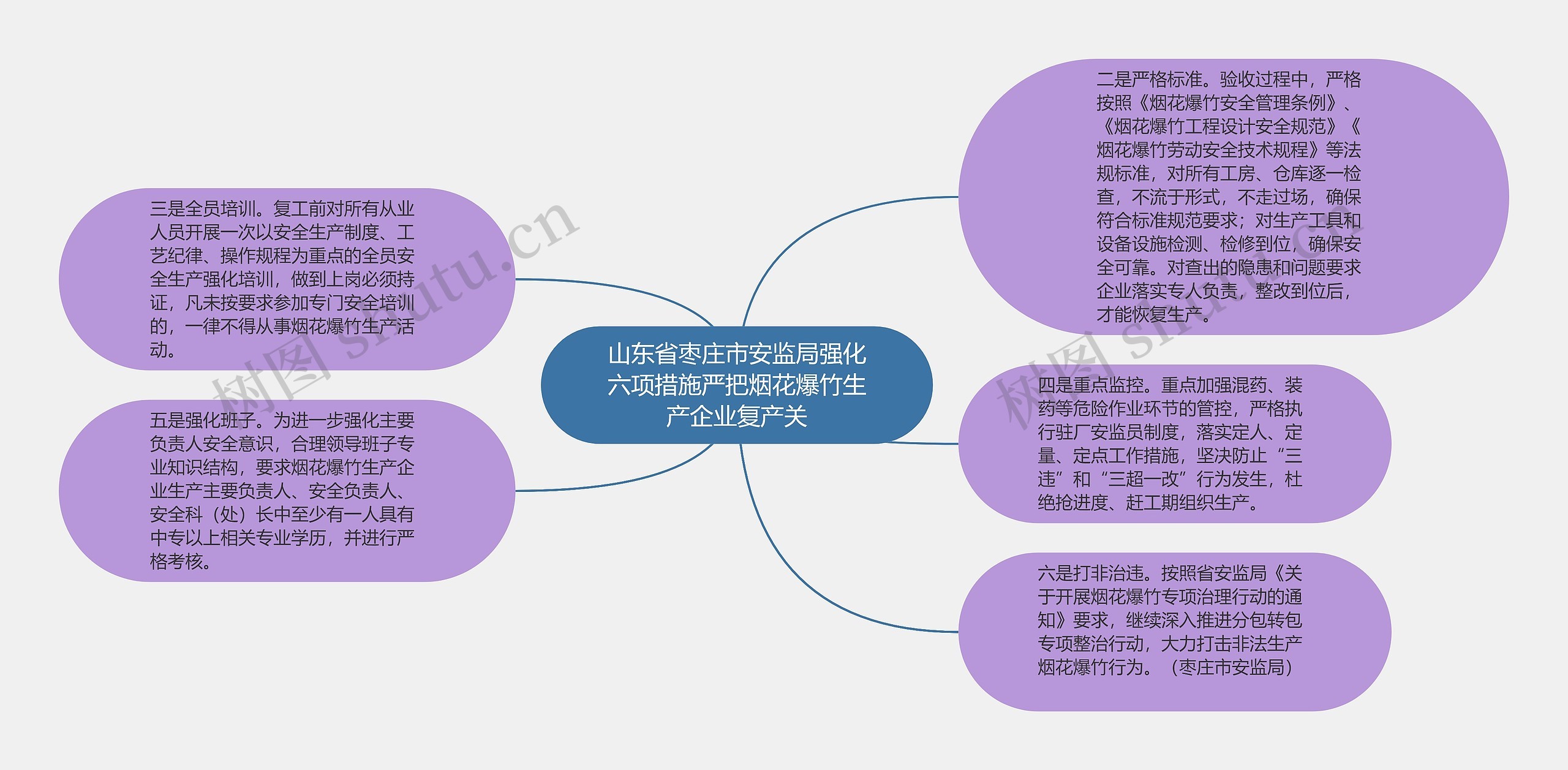 山东省枣庄市安监局强化六项措施严把烟花爆竹生产企业复产关思维导图