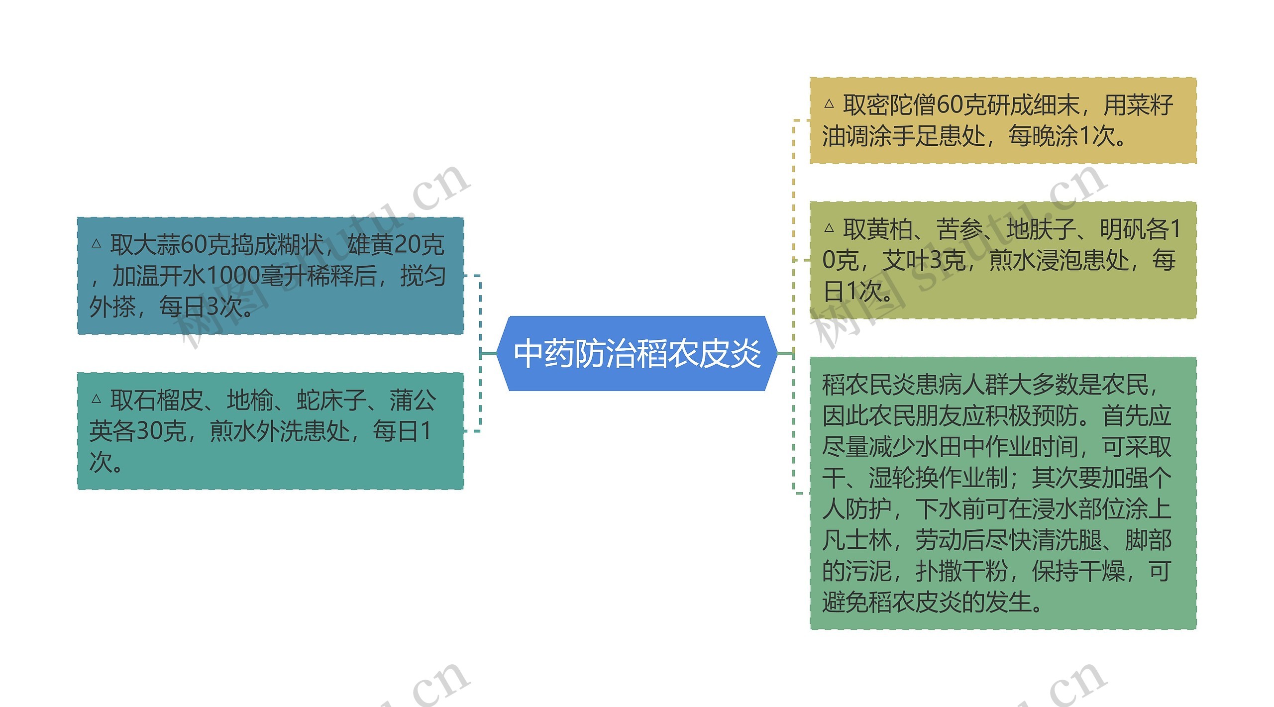 中药防治稻农皮炎思维导图