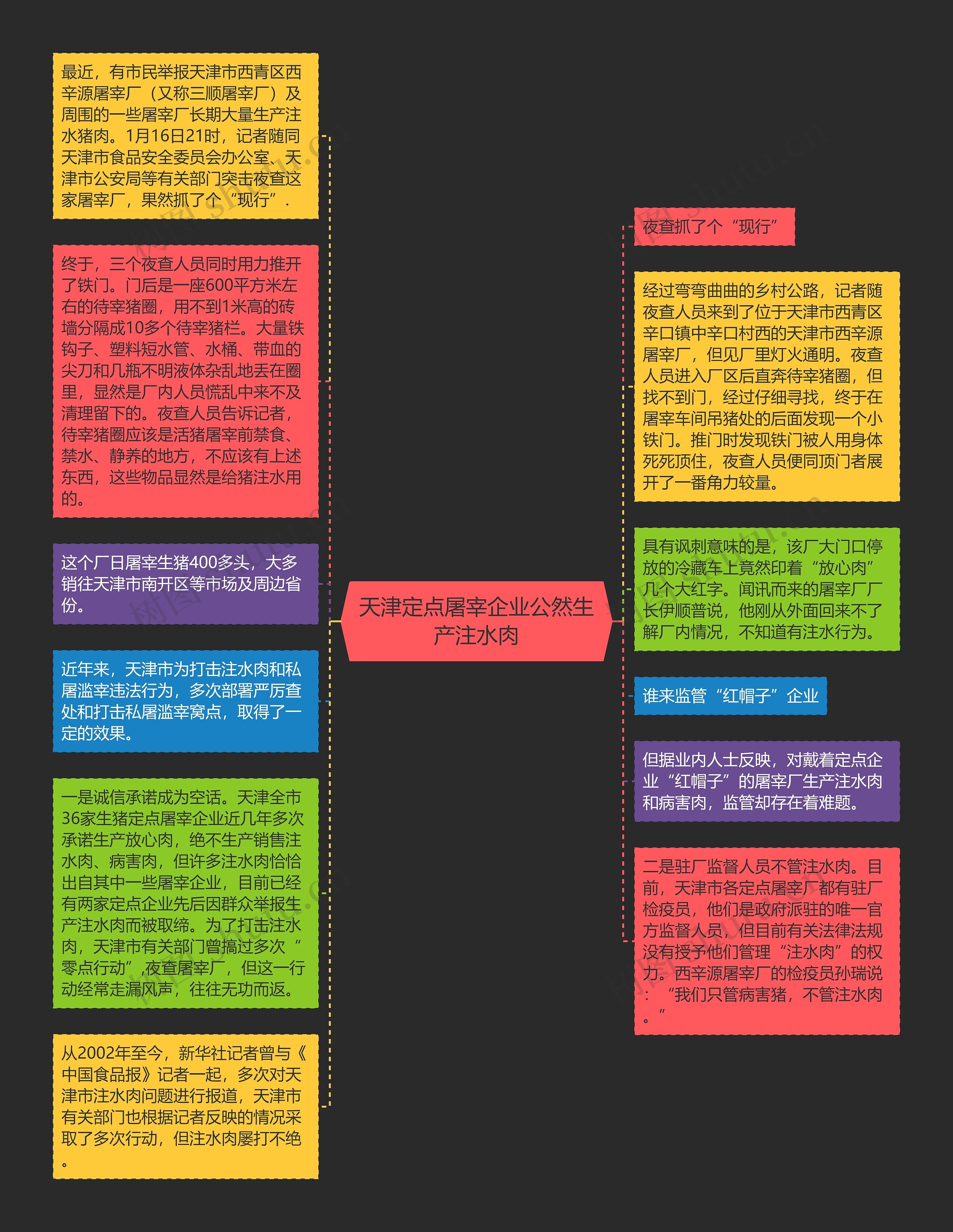 天津定点屠宰企业公然生产注水肉思维导图