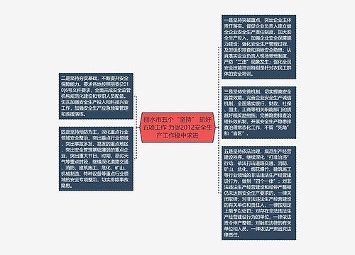 丽水市五个“坚持” 抓好五项工作 力促2012安全生产工作稳中求进