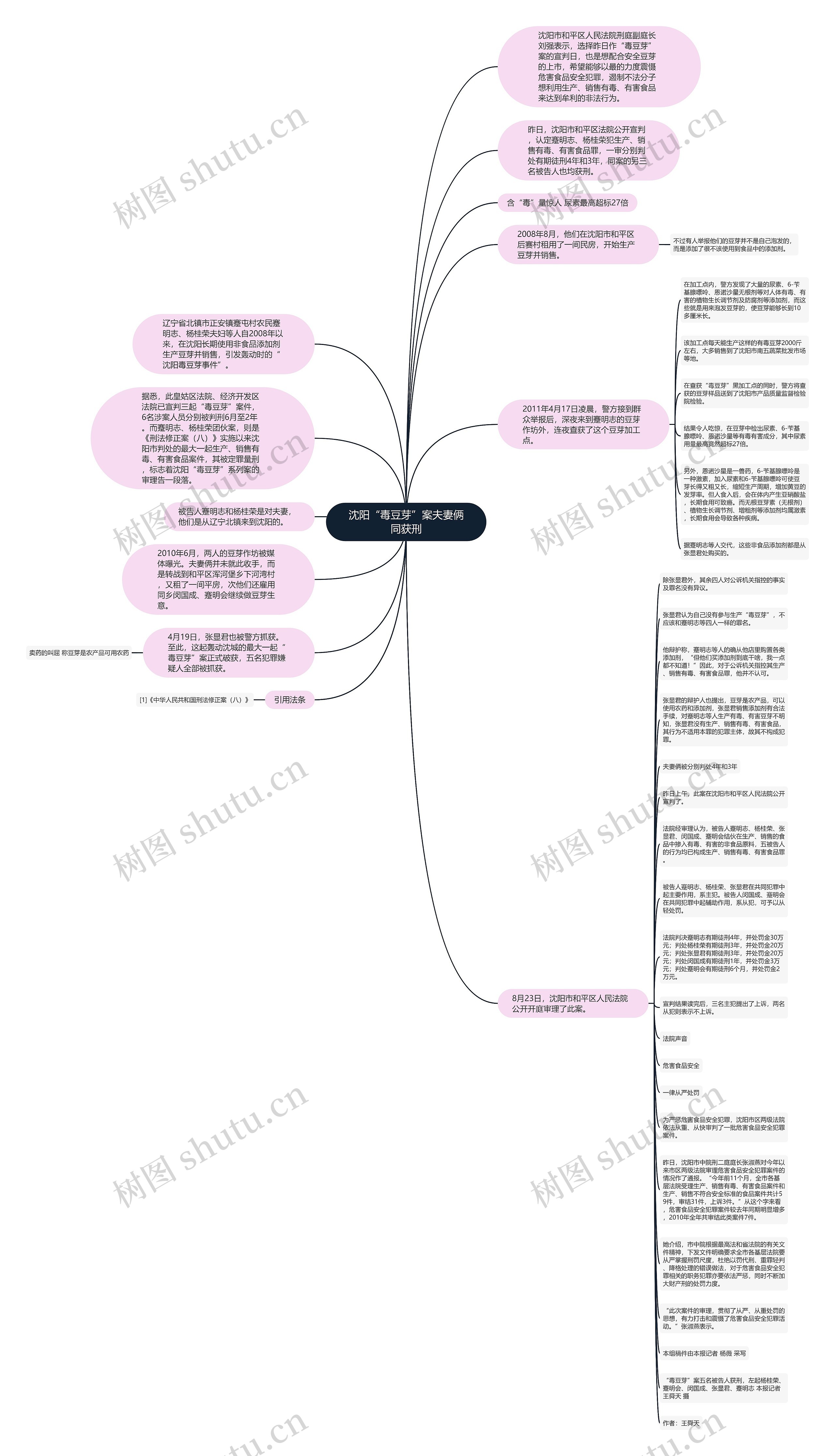 沈阳“毒豆芽”案夫妻俩同获刑思维导图