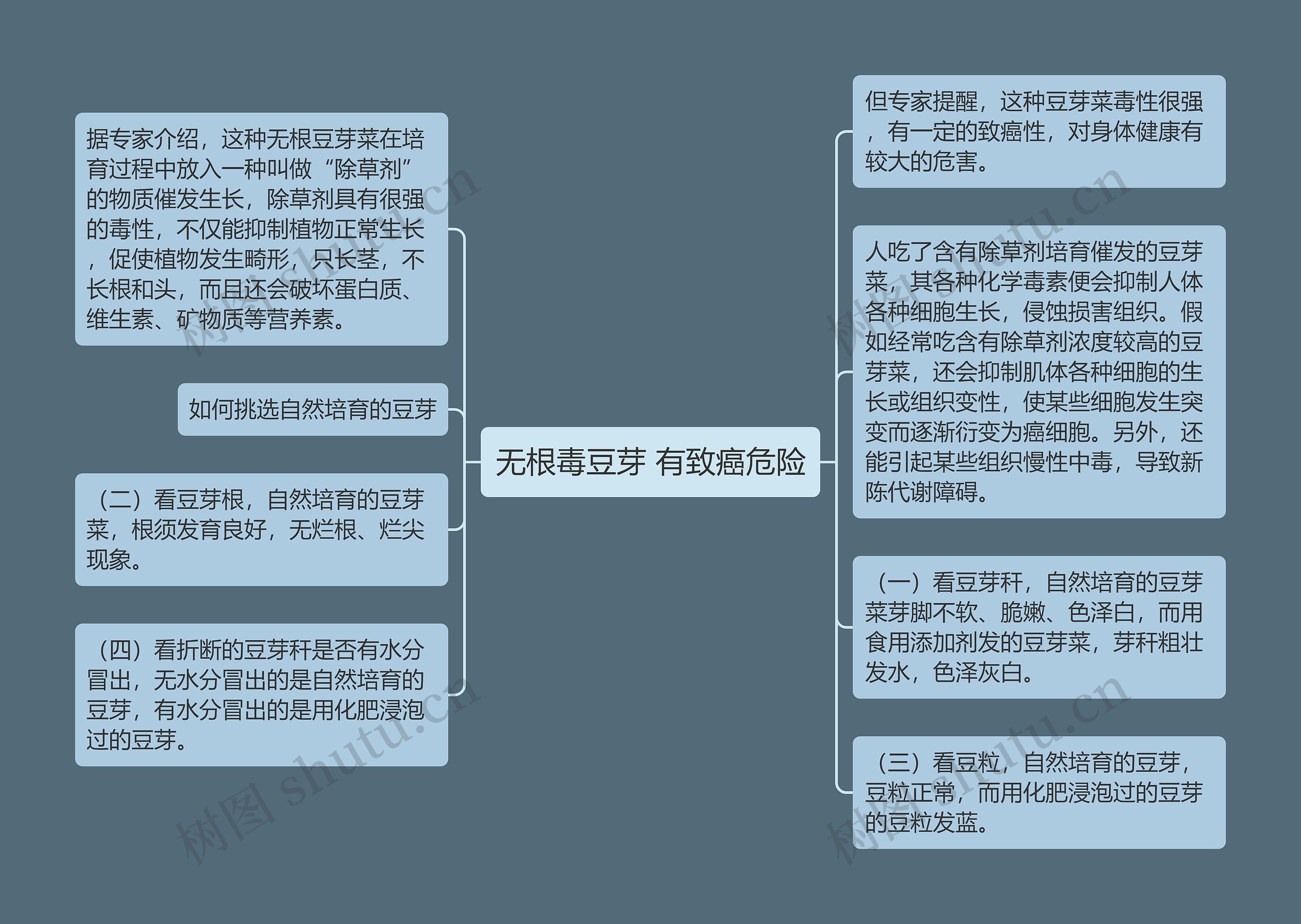 无根毒豆芽 有致癌危险