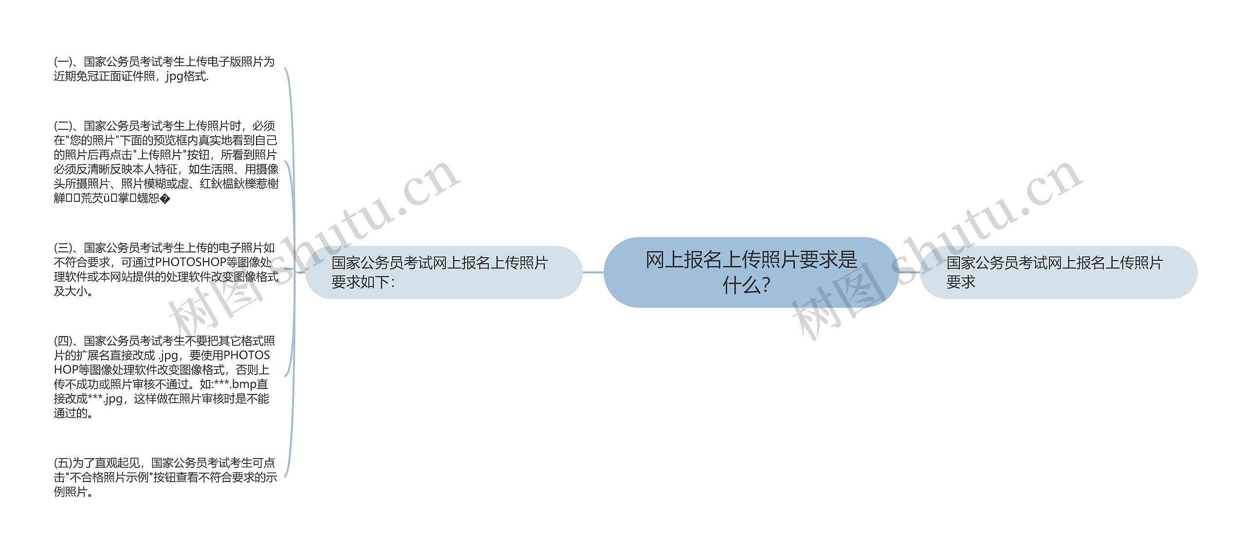网上报名上传照片要求是什么？