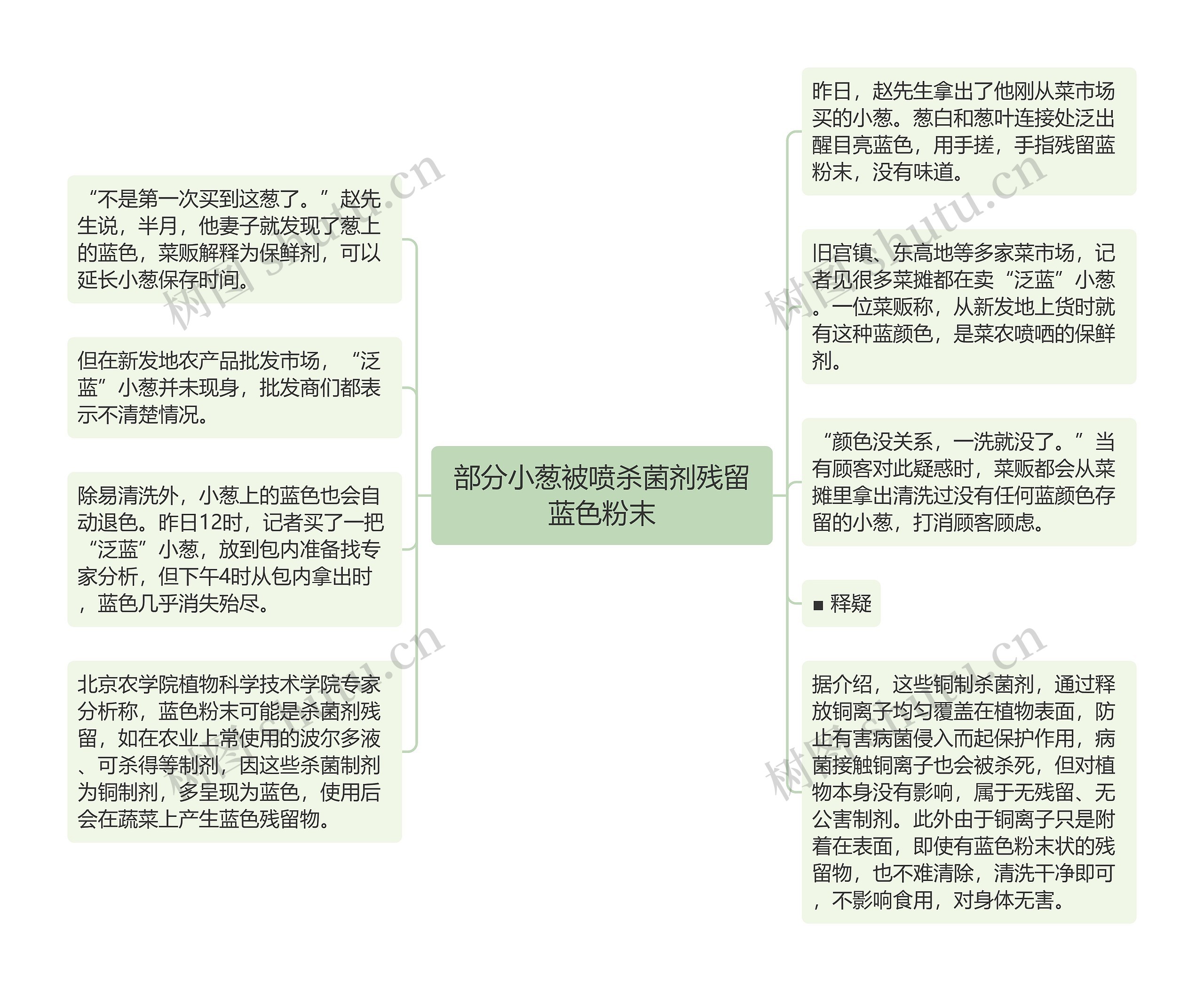 部分小葱被喷杀菌剂残留蓝色粉末