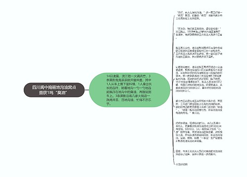 四川阆中捣毁地沟油窝点查获1吨“臭油”