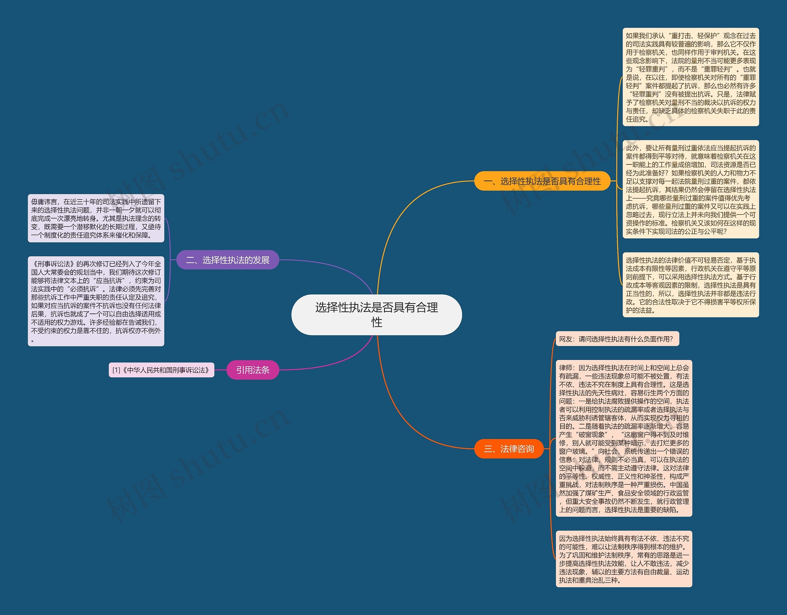 选择性执法是否具有合理性思维导图