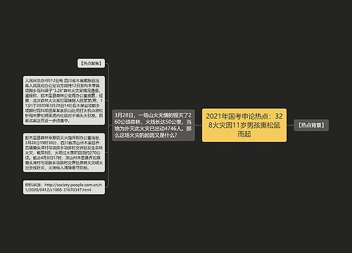 2021年国考申论热点：328火灾因11岁男孩熏松鼠而起