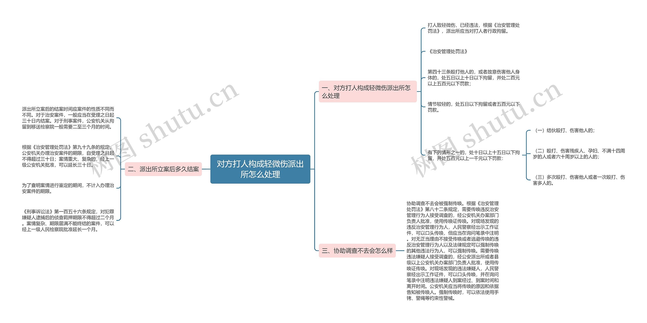 对方打人构成轻微伤派出所怎么处理思维导图