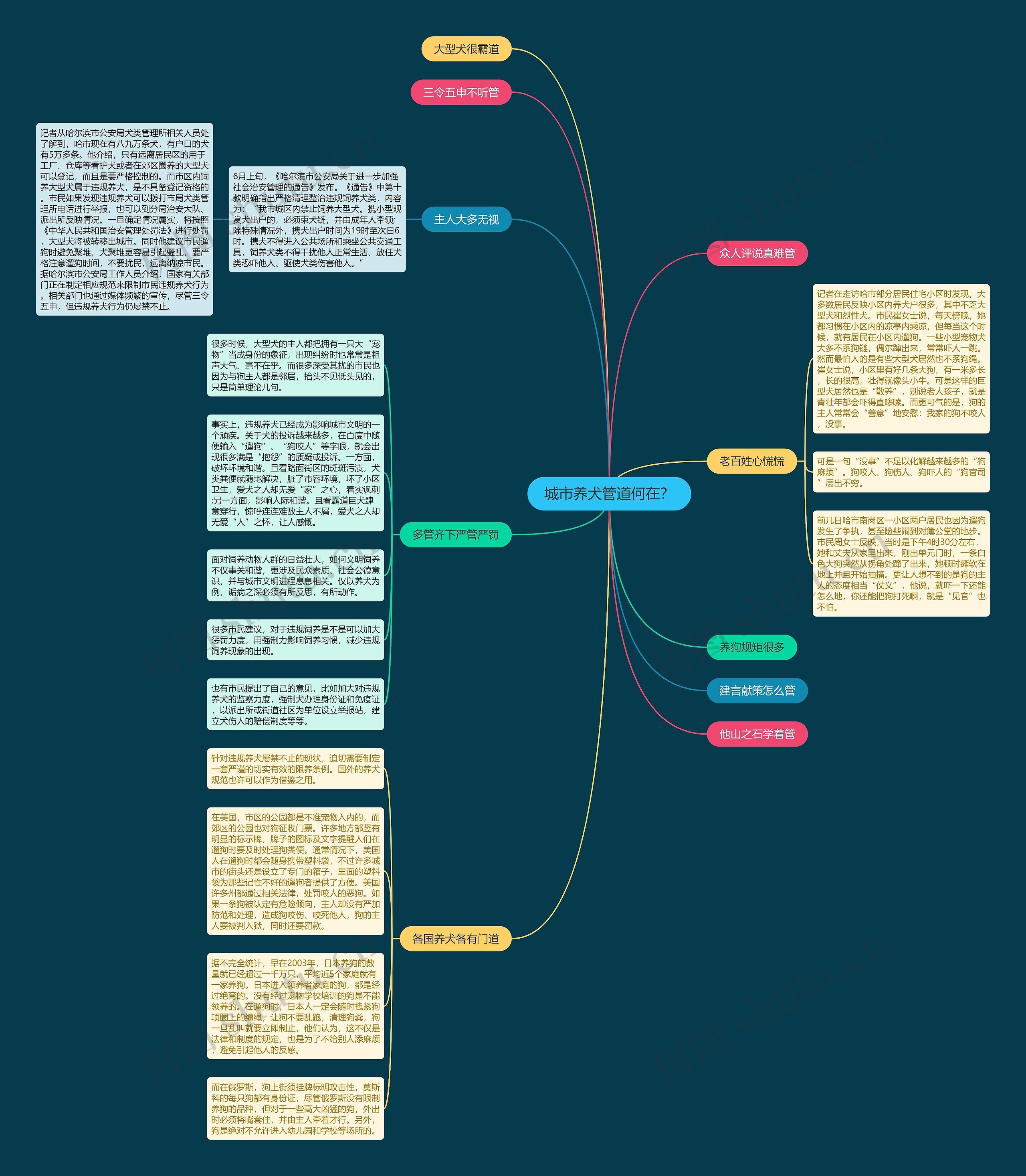 城市养犬管道何在？思维导图