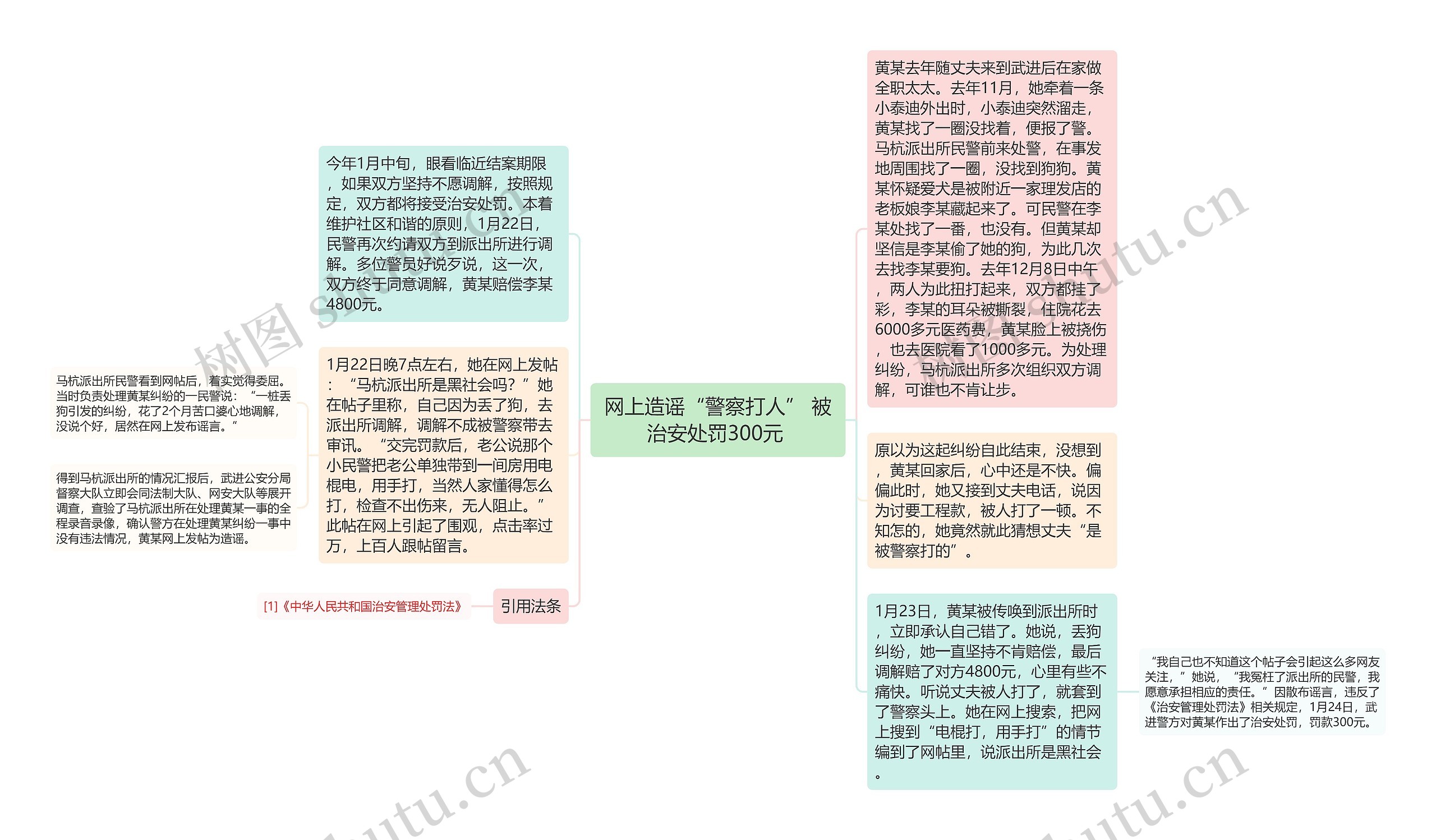 网上造谣“警察打人” 被治安处罚300元 