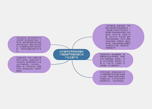 山东省枣庄市安监局强化六项措施严把烟花爆竹生产企业复产关