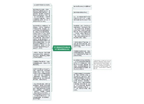 辽宁省政府召开全省安全生产紧急电视电话会议