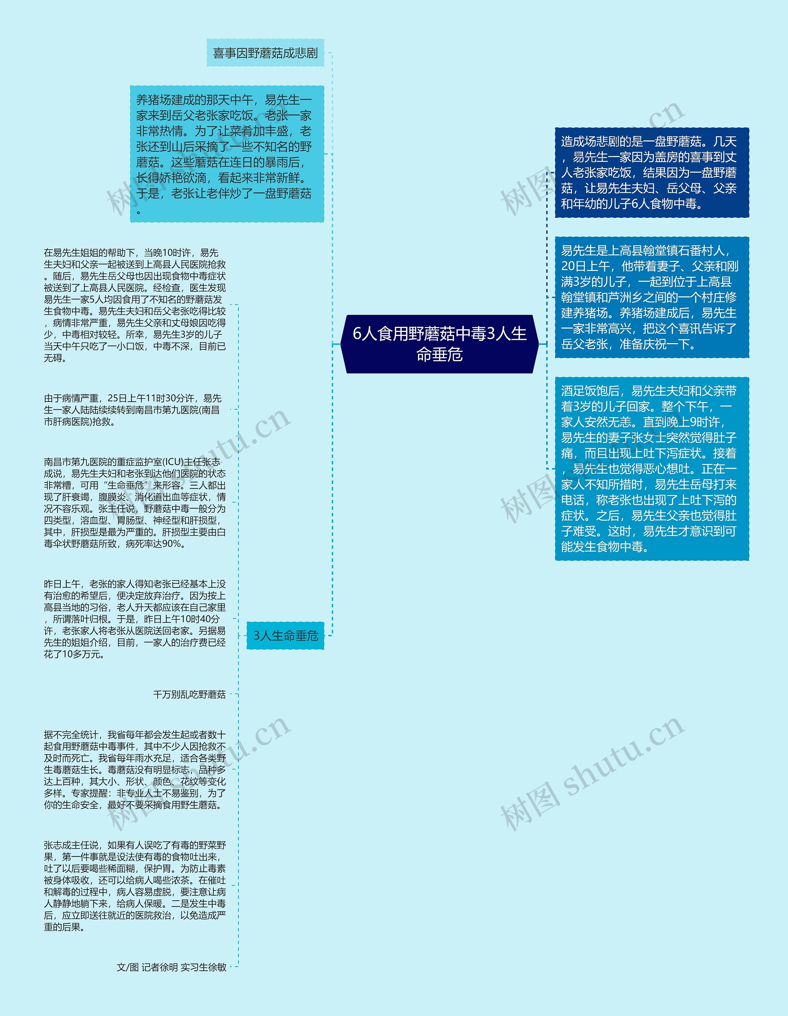 6人食用野蘑菇中毒3人生命垂危思维导图