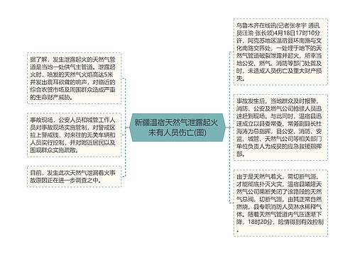 新疆温宿天然气泄露起火 未有人员伤亡(图)