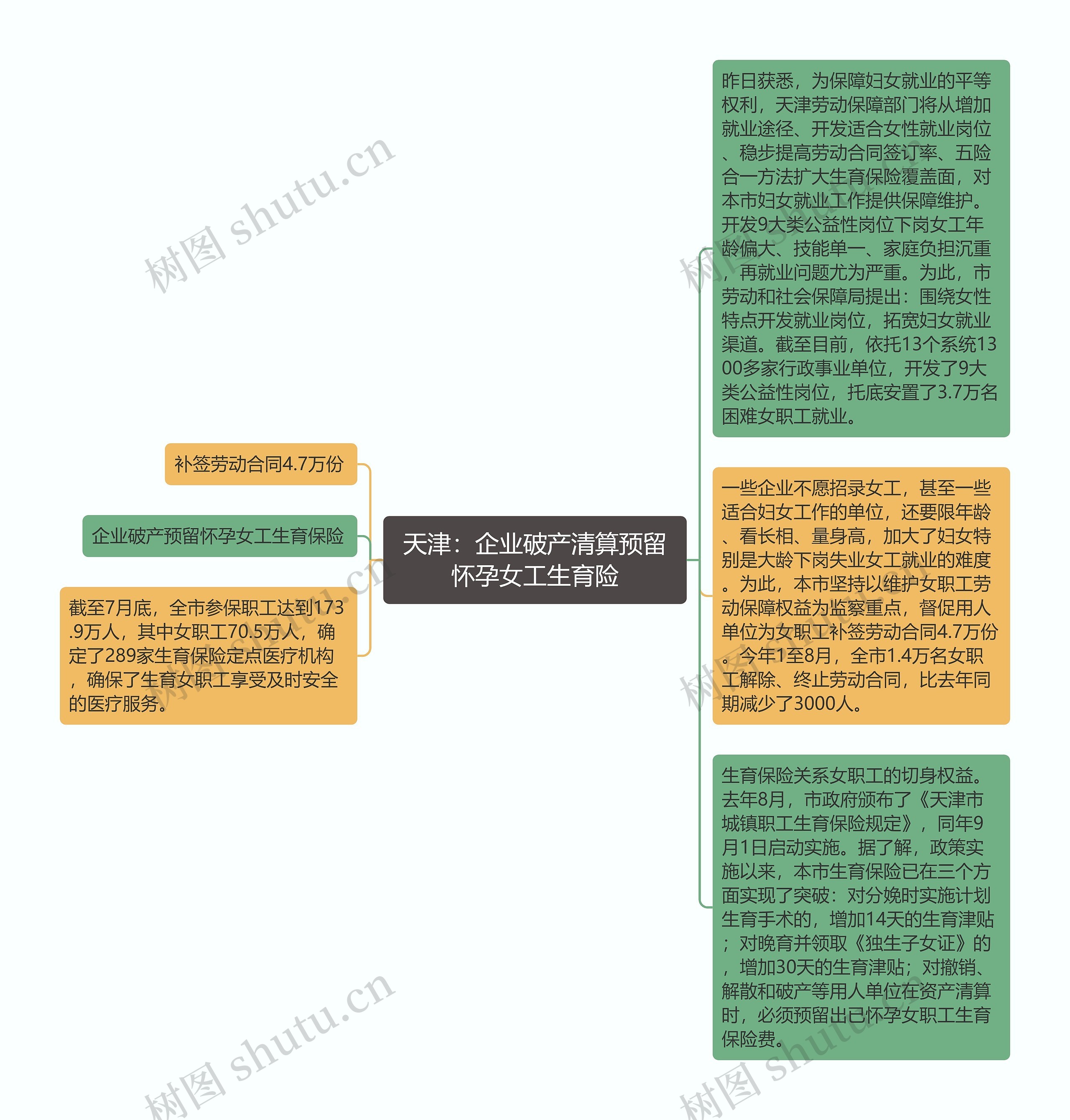 天津：企业破产清算预留怀孕女工生育险思维导图