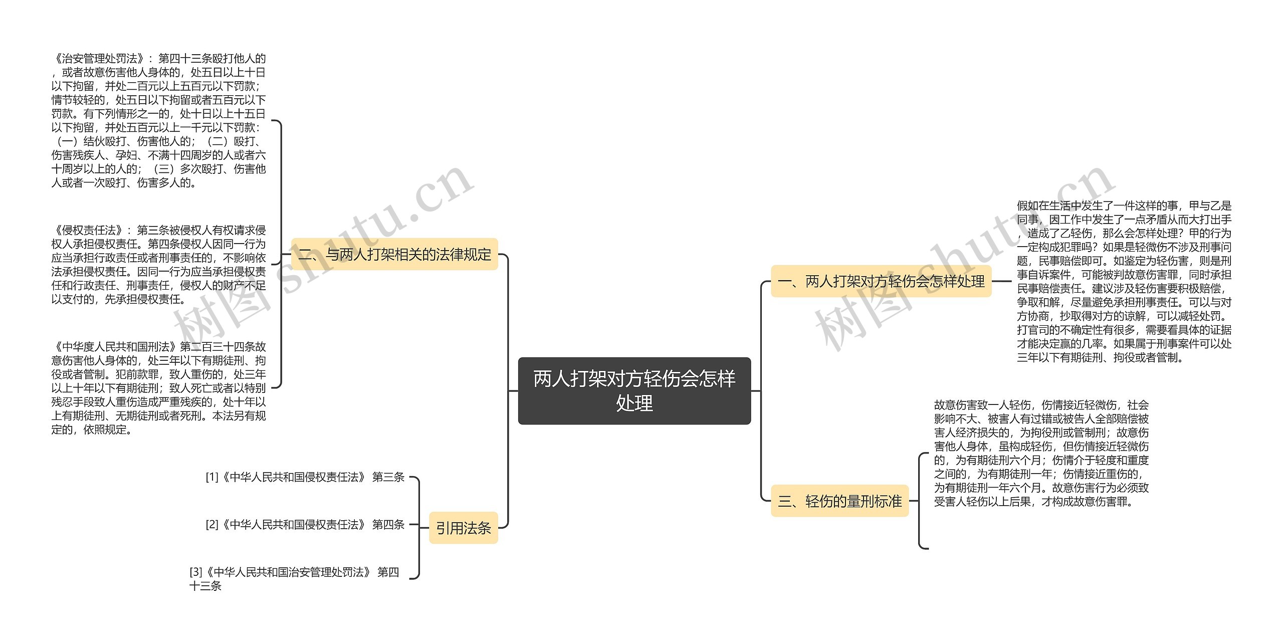 两人打架对方轻伤会怎样处理思维导图