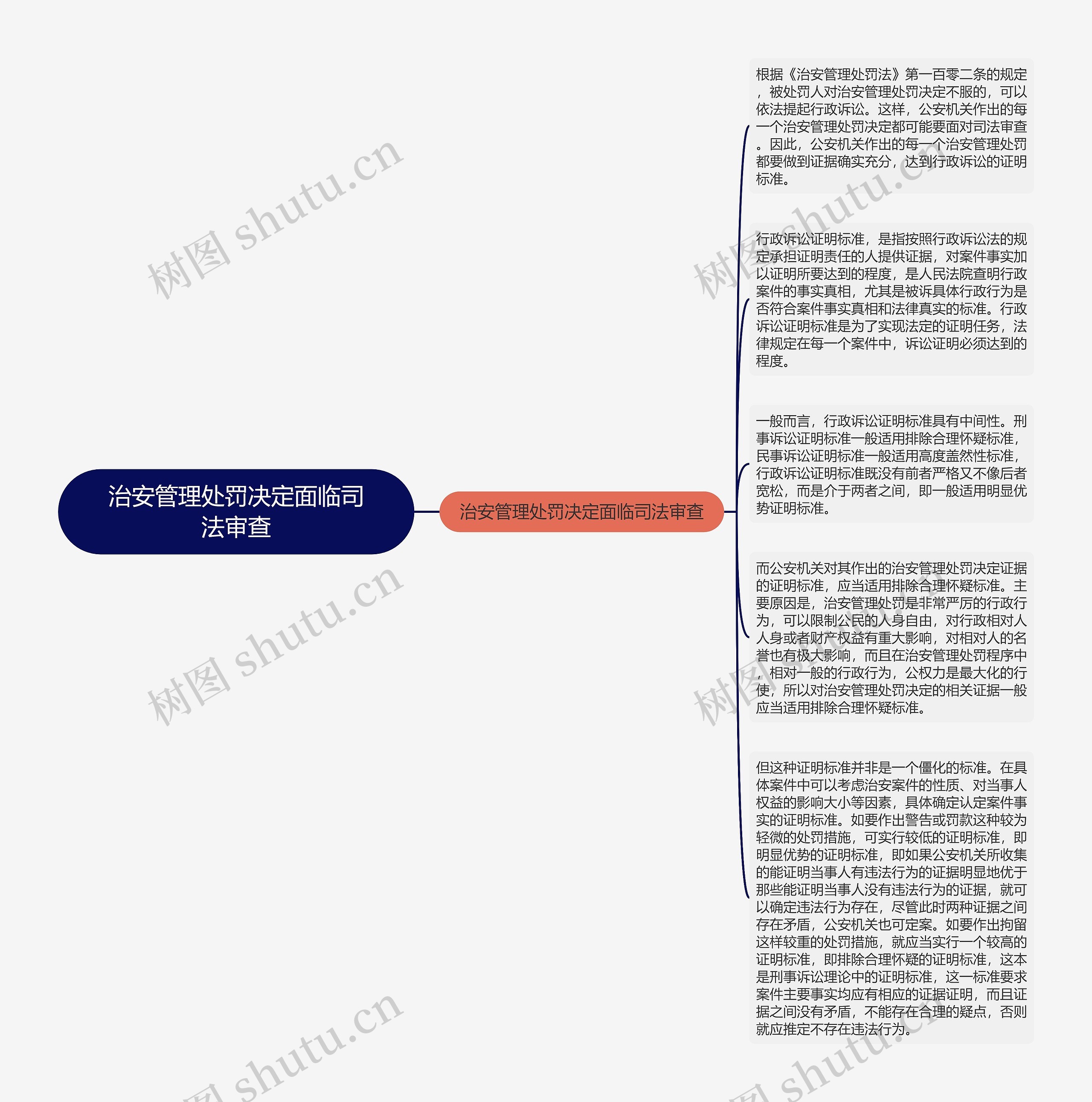 治安管理处罚决定面临司法审查思维导图