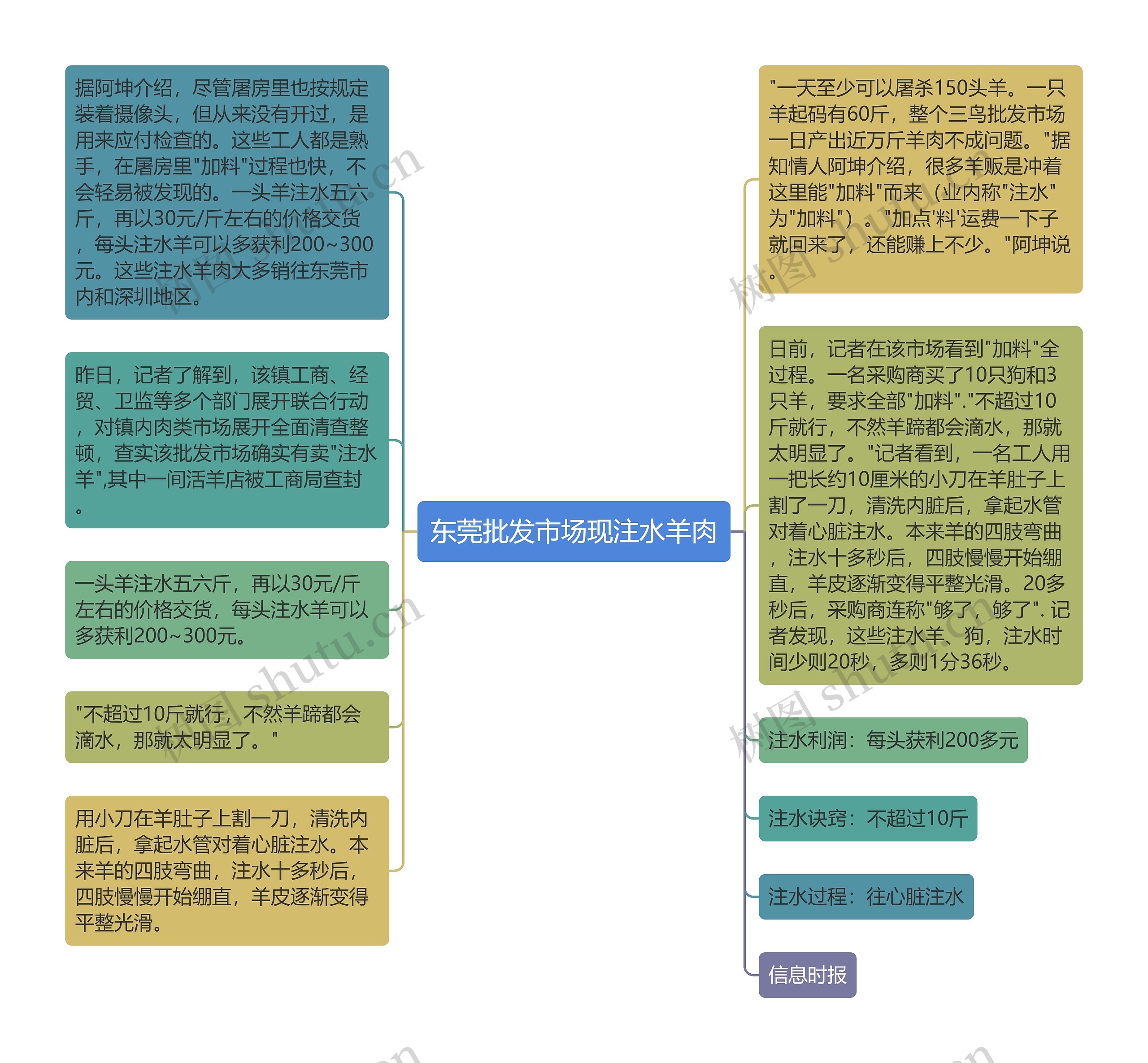 东莞批发市场现注水羊肉思维导图