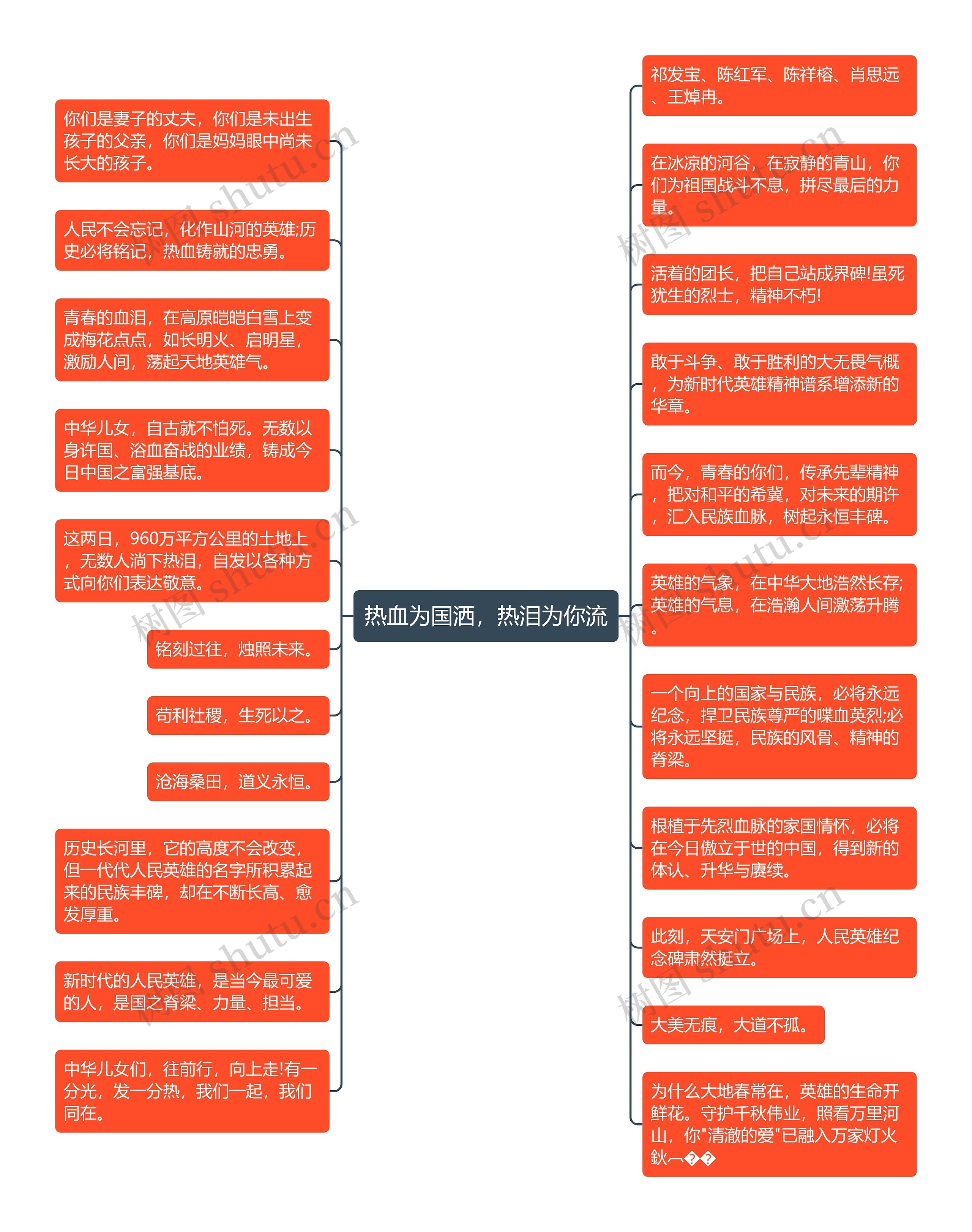 热血为国洒，热泪为你流思维导图